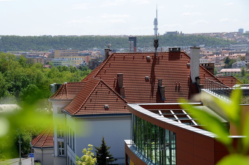ART ECON - Gymnázium a Střední odborná škola Praha, s.r.o. foto 4