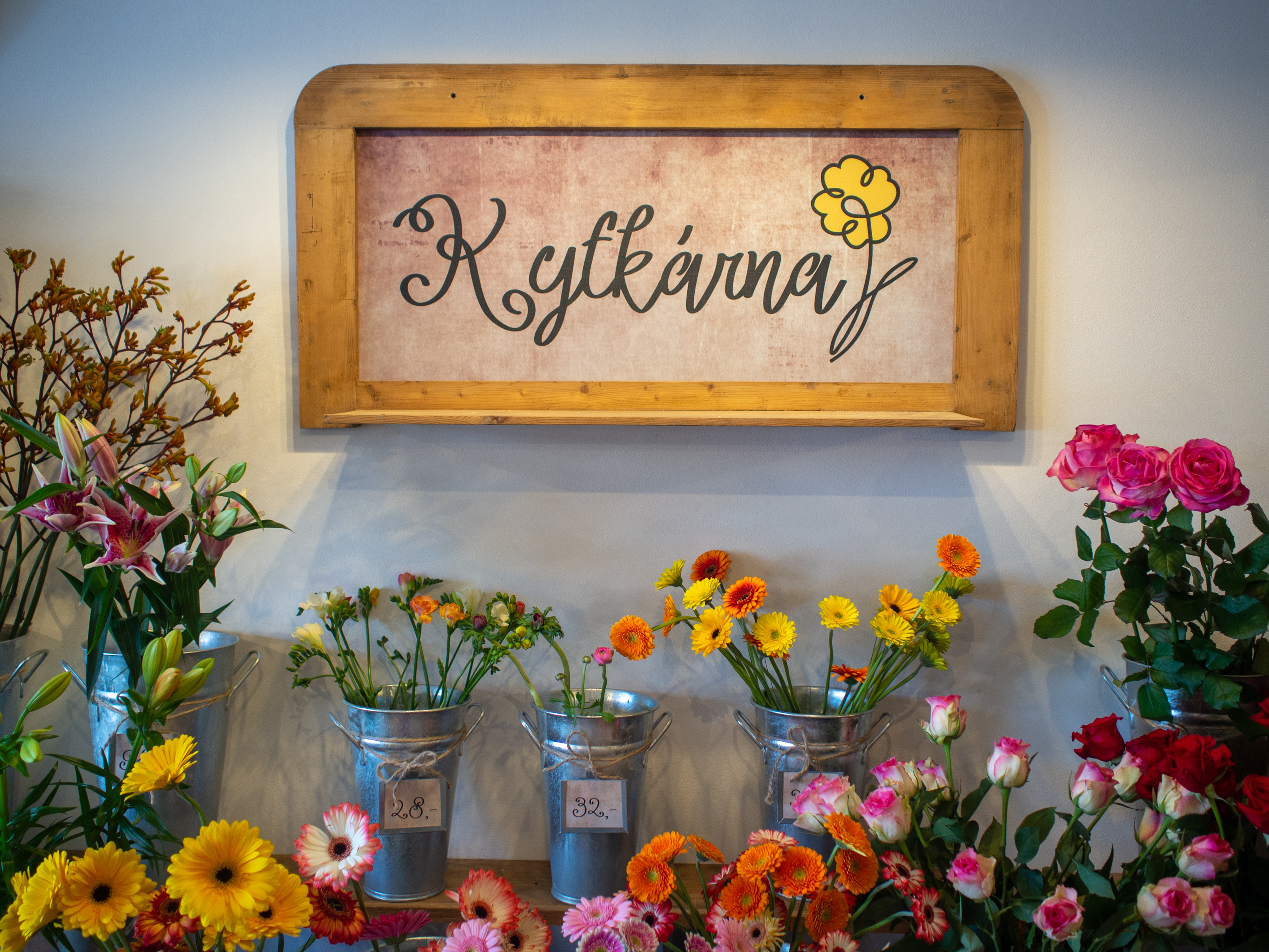 Kytkárna Chotěboř - květinářství foto 3