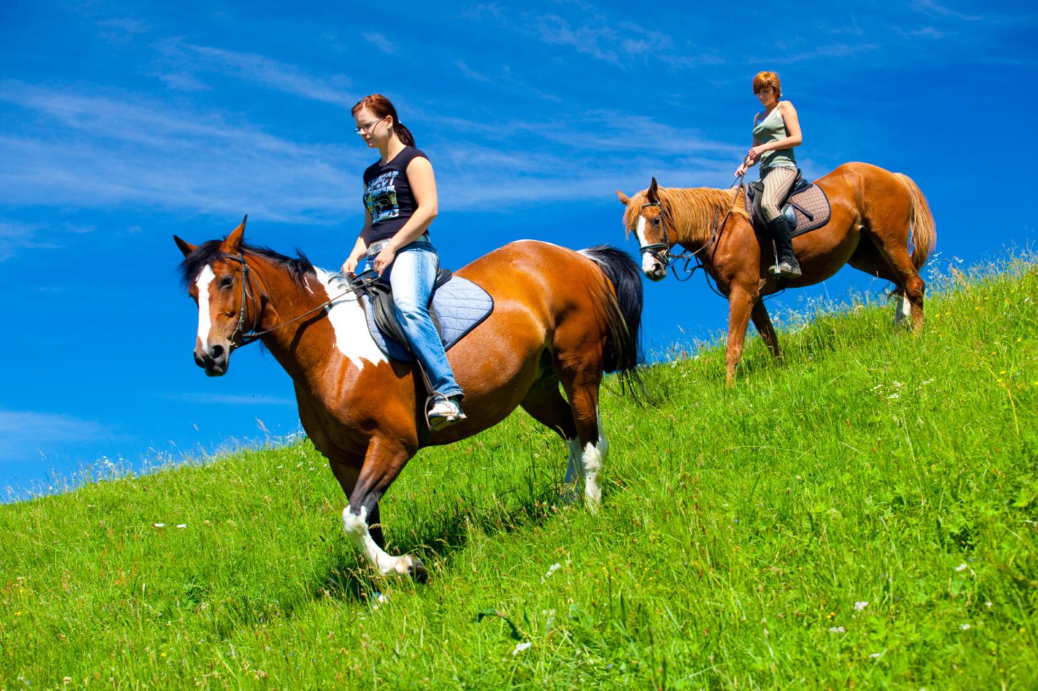 Ustájení koní Kněžice