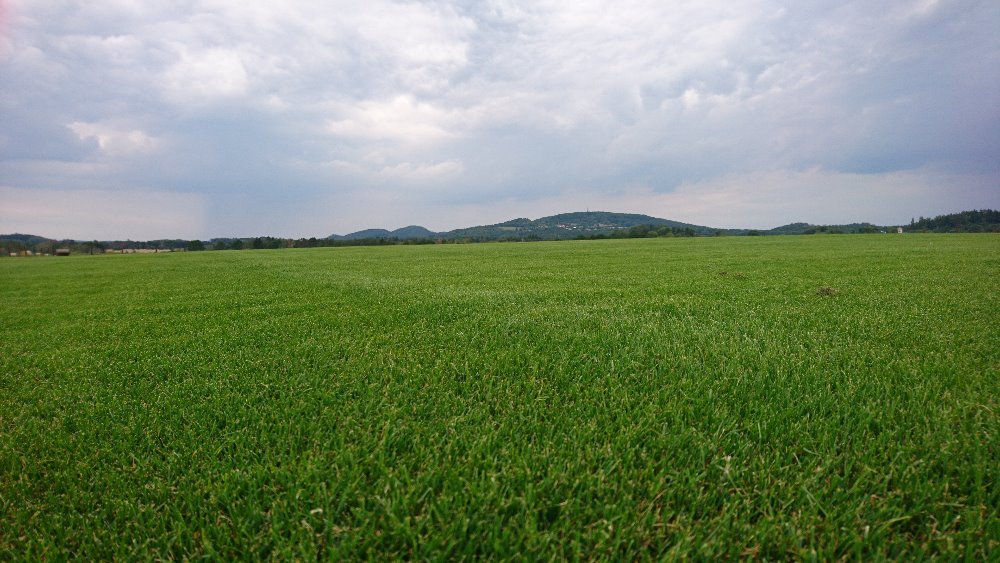Travní koberce - Petr Mareček foto 5