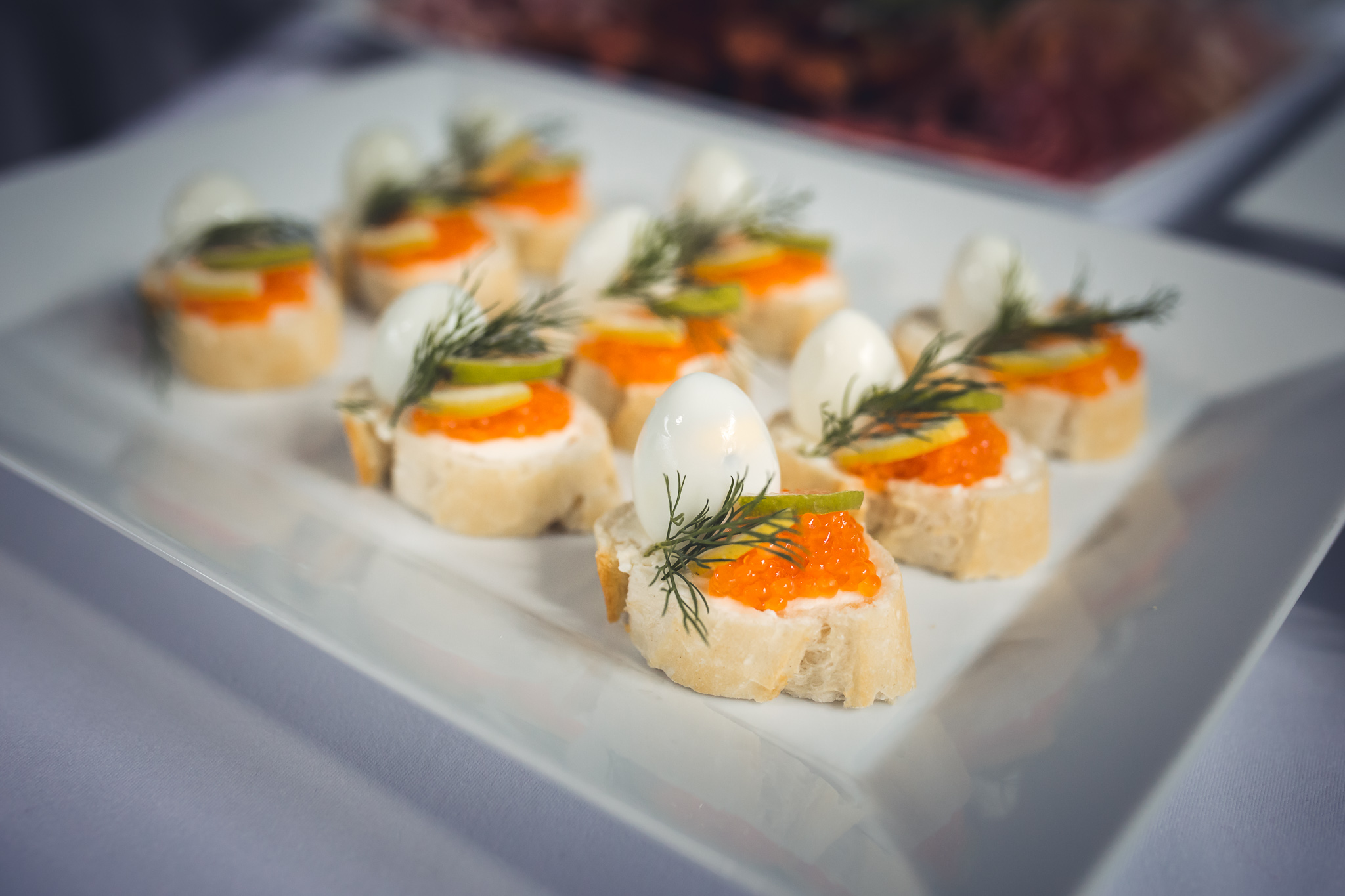 Caravan Metropol Karting foto 5