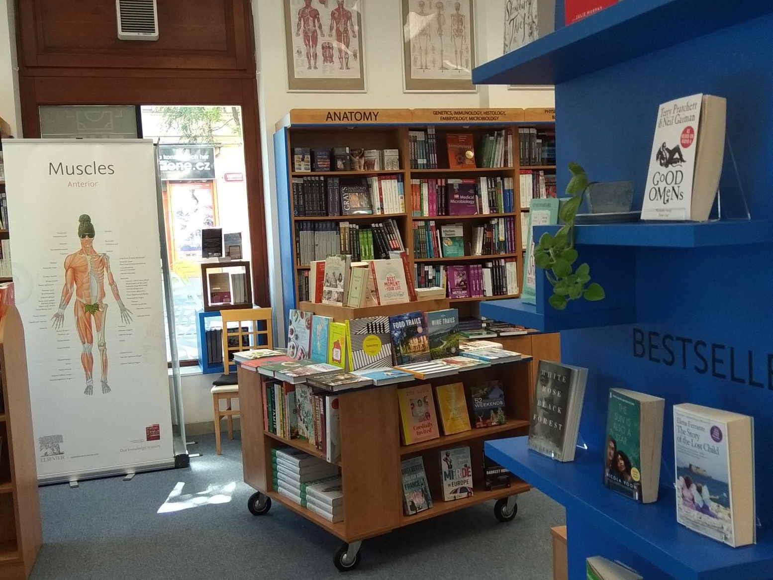 Knihkupectví Megabooks Praha Korunní foto 3