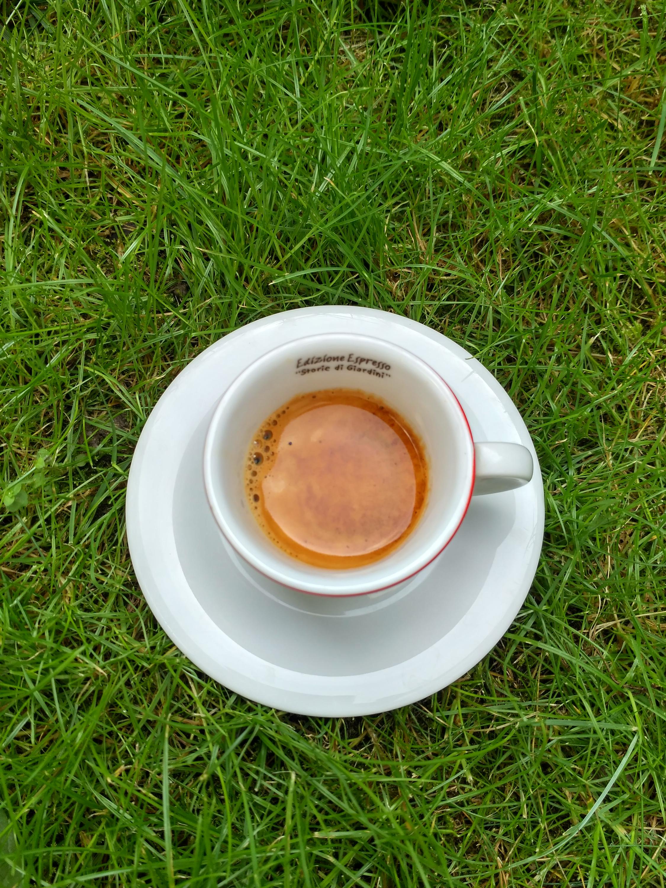 Dalia Coffee foto 5