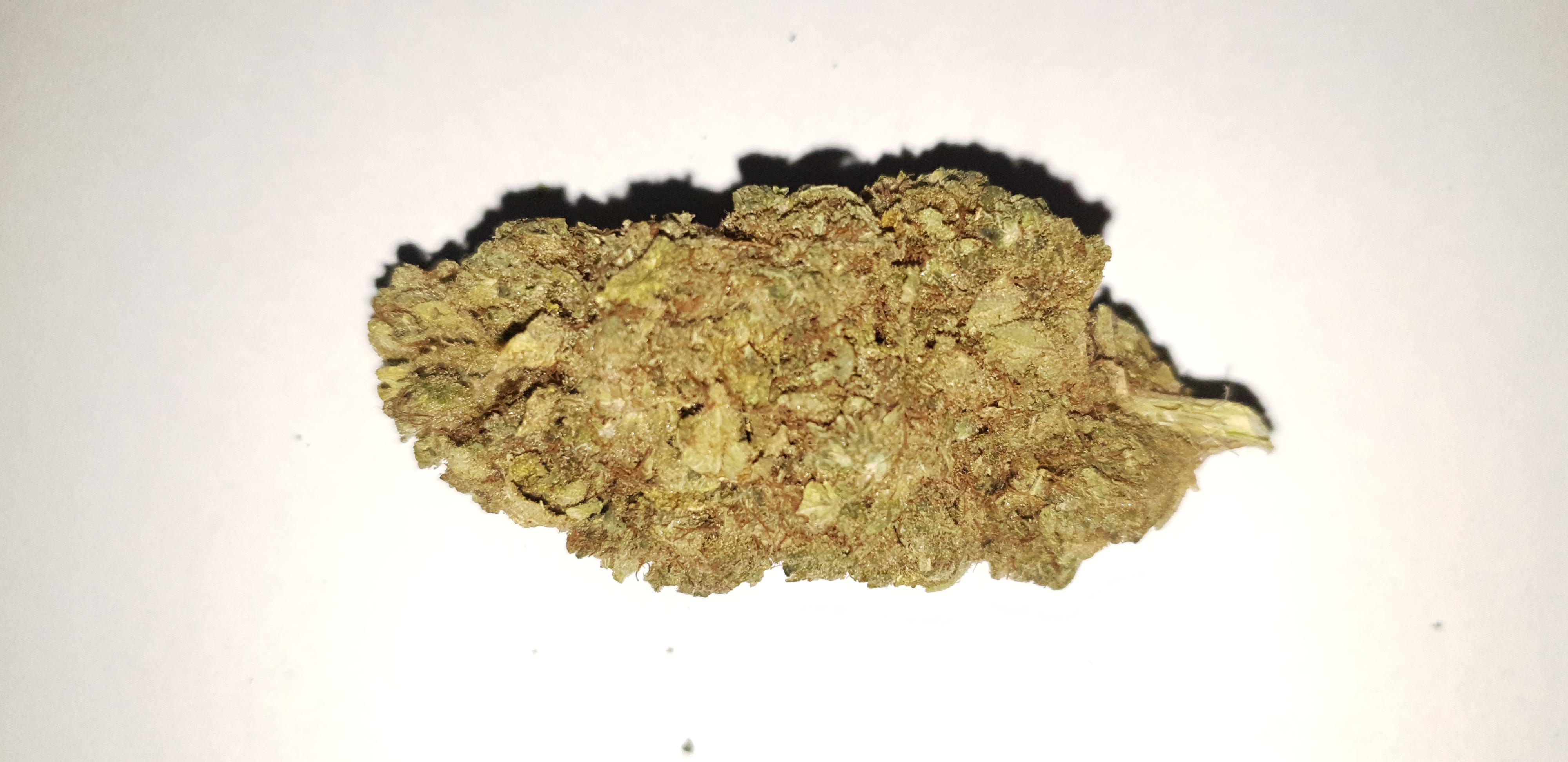 CBD Point foto 3