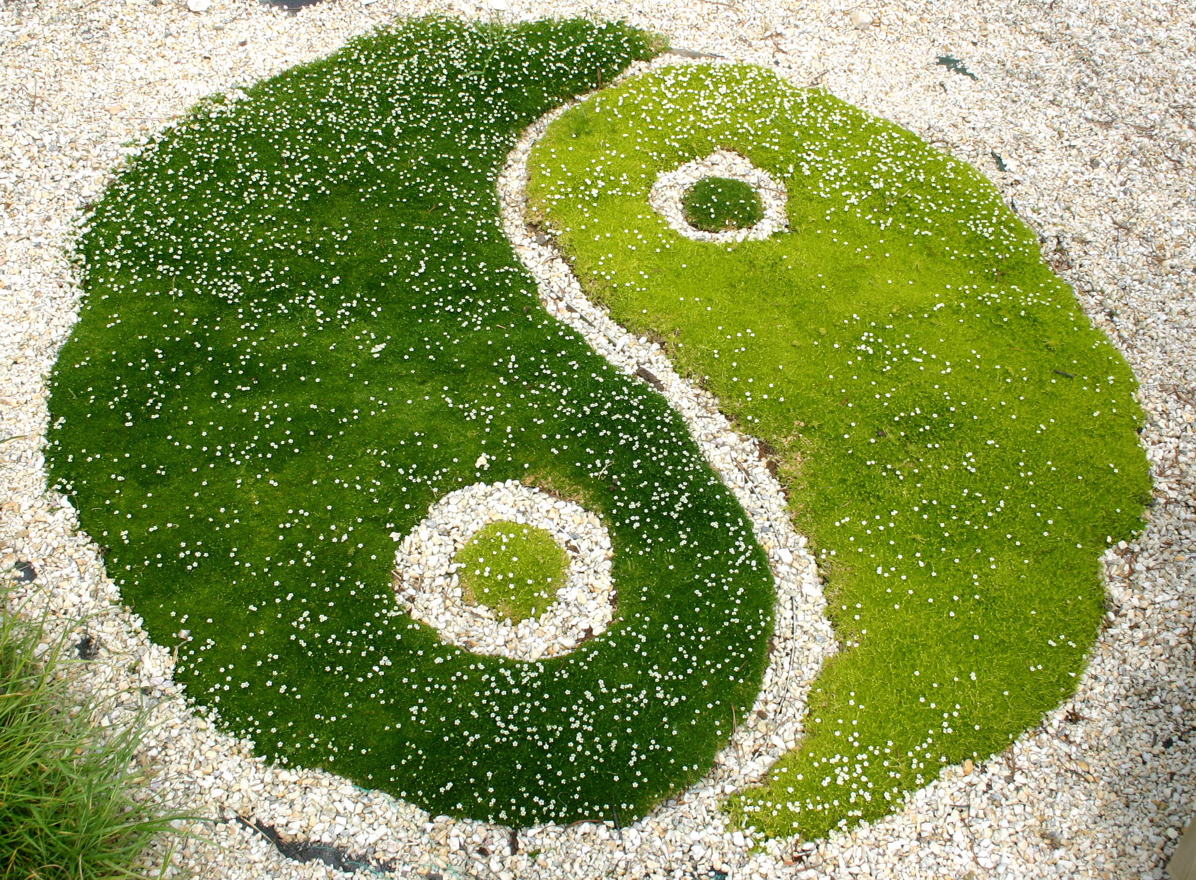 Feng Shui konzultace a poradenství Romana Sýkorová foto 2
