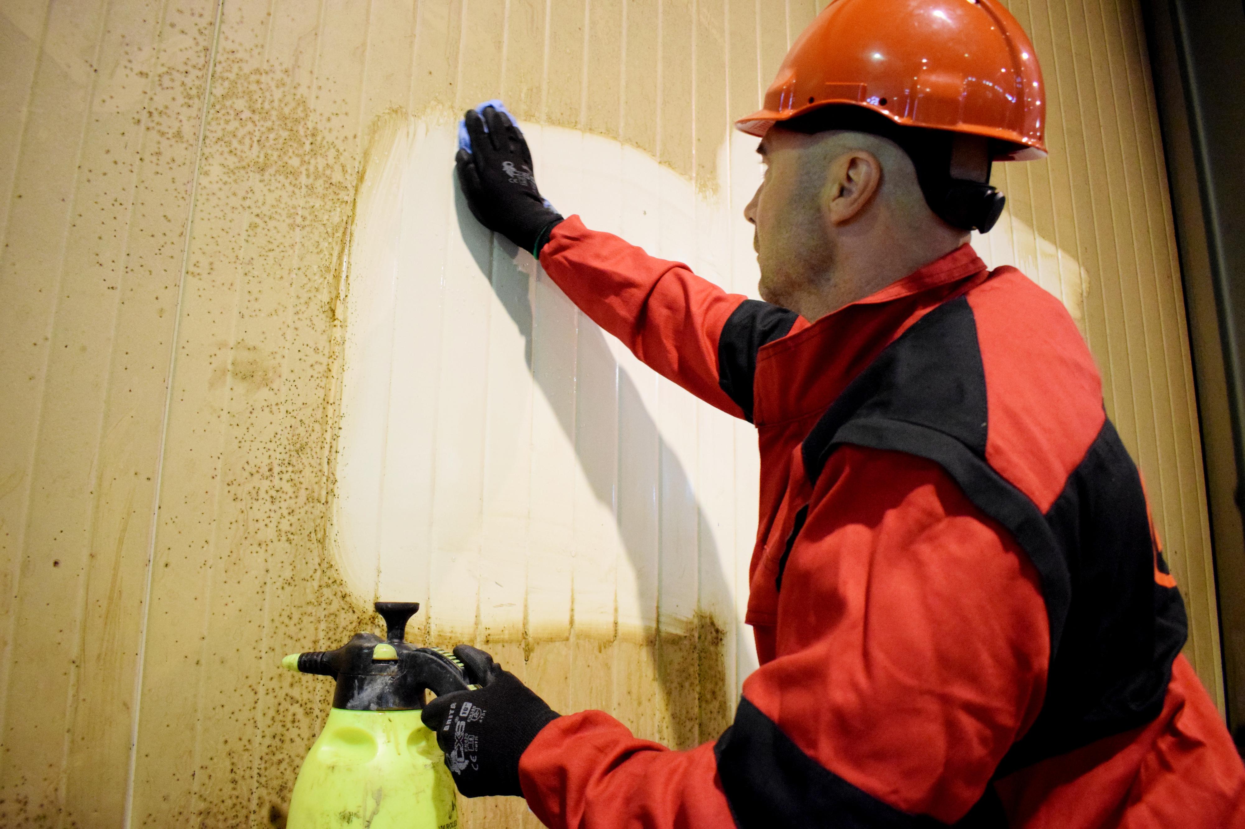 ALEGO průmyslové čištění foto 3