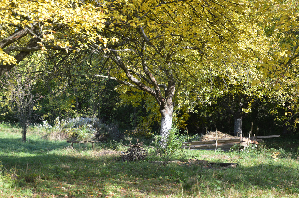 Lesní mateřská školka Radovánky foto 3