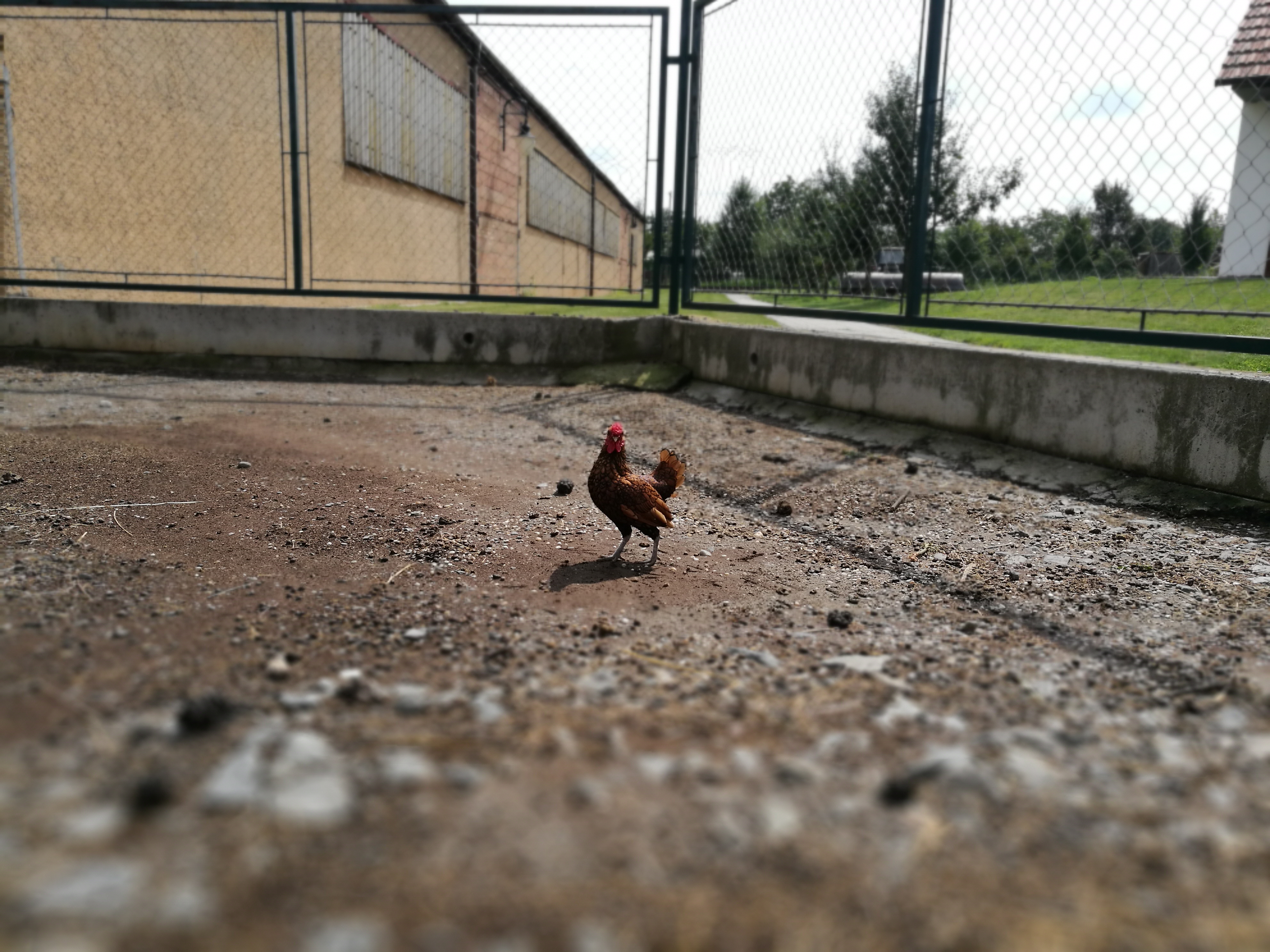 Hanácký dvůr foto 6