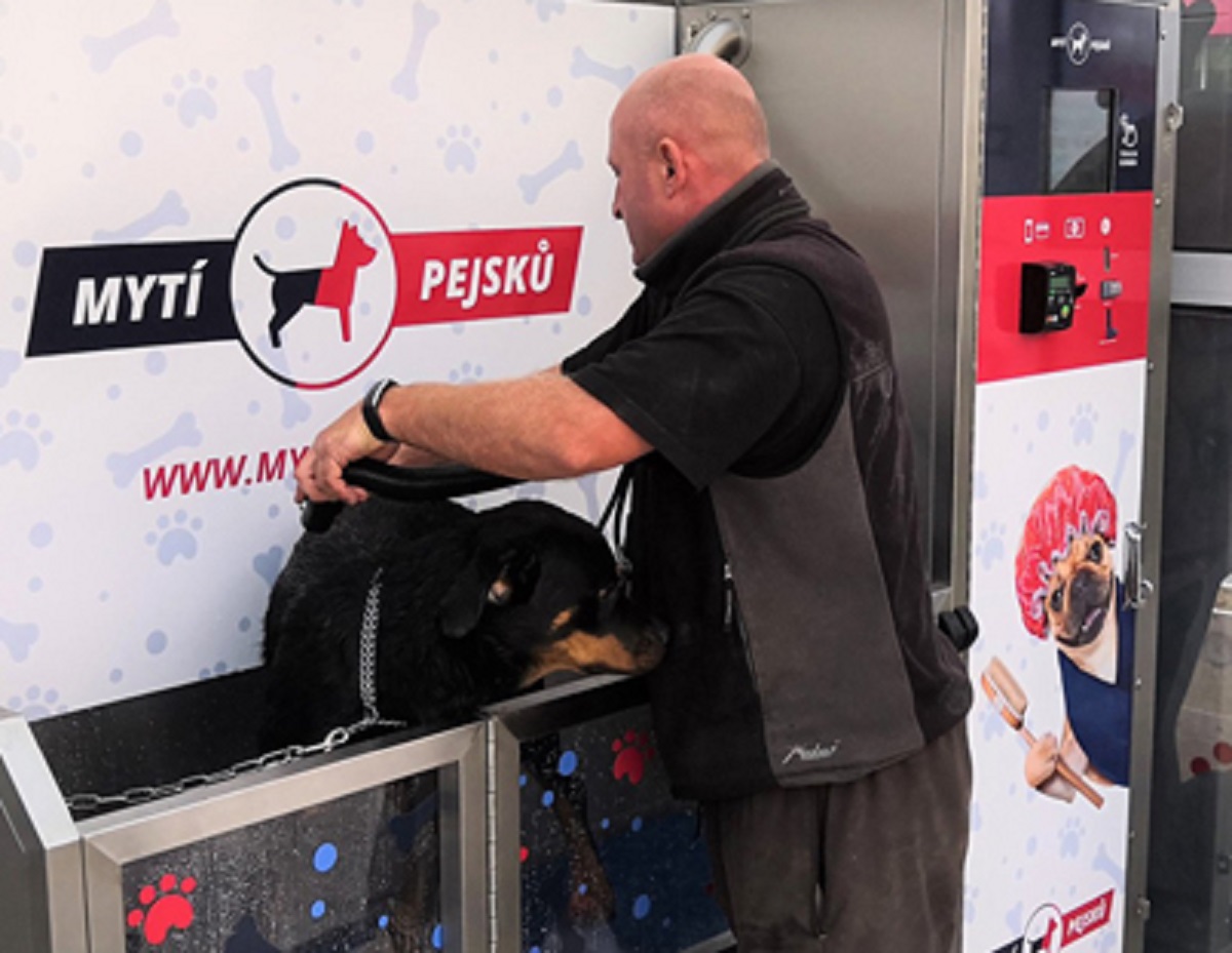 Mytí pejsků