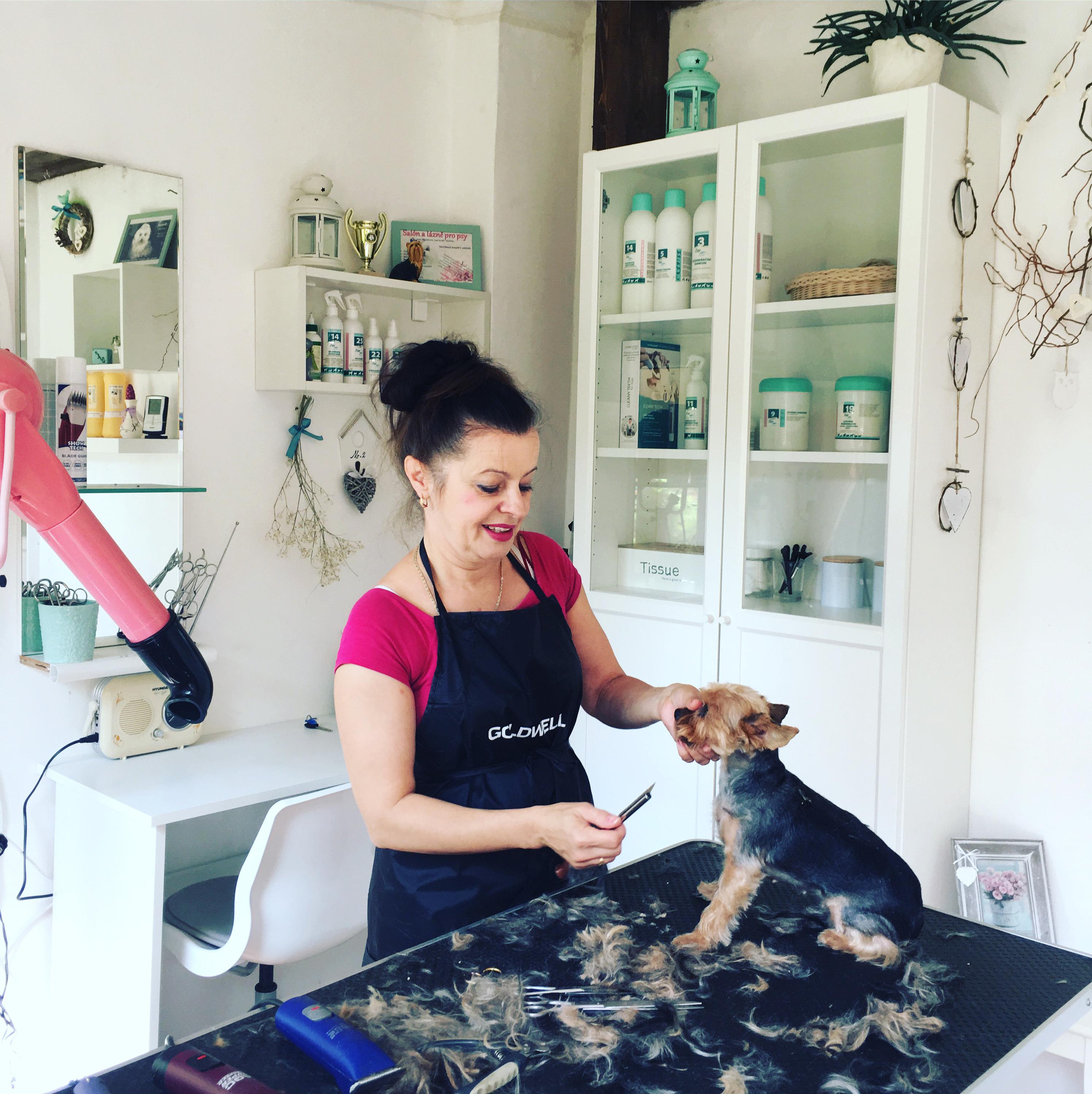 Salon a lázně pro psy SilkDarling foto 2