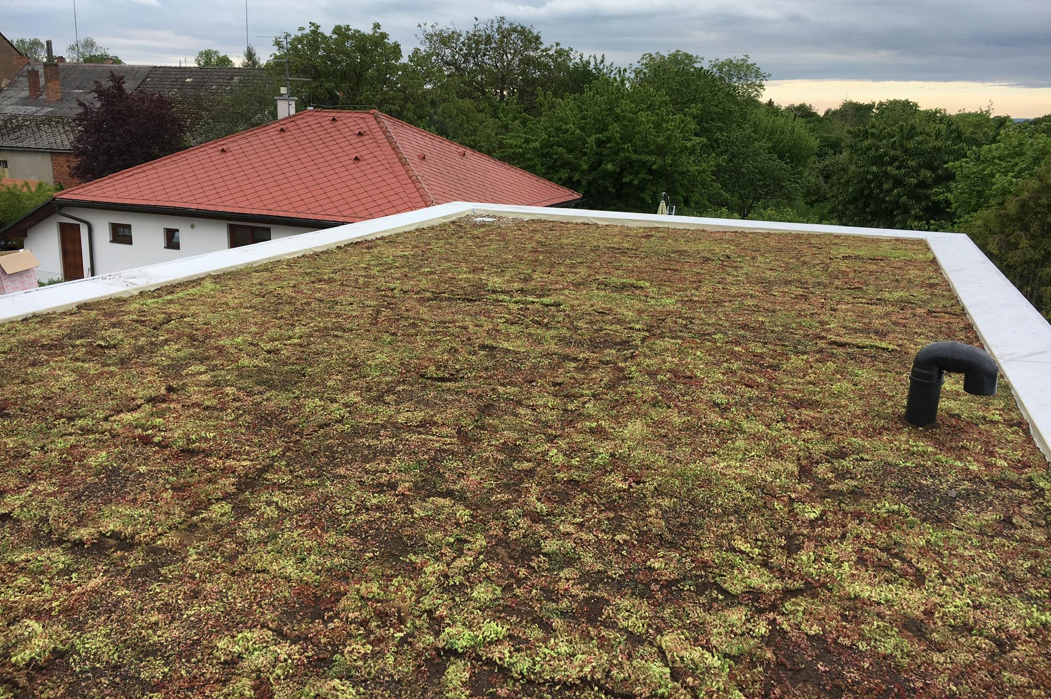 Zelená střecha dotace Brno