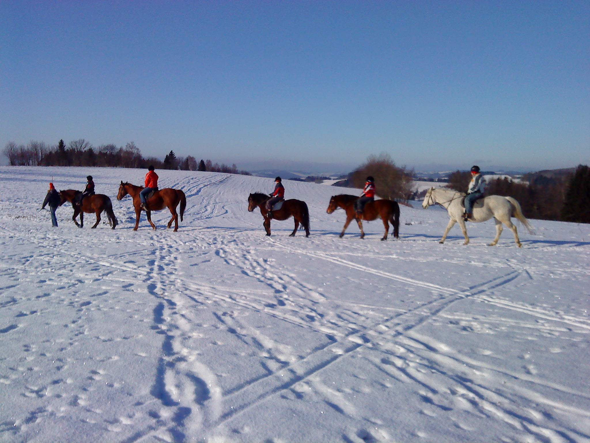 Ustájení koní Kněžice foto 3