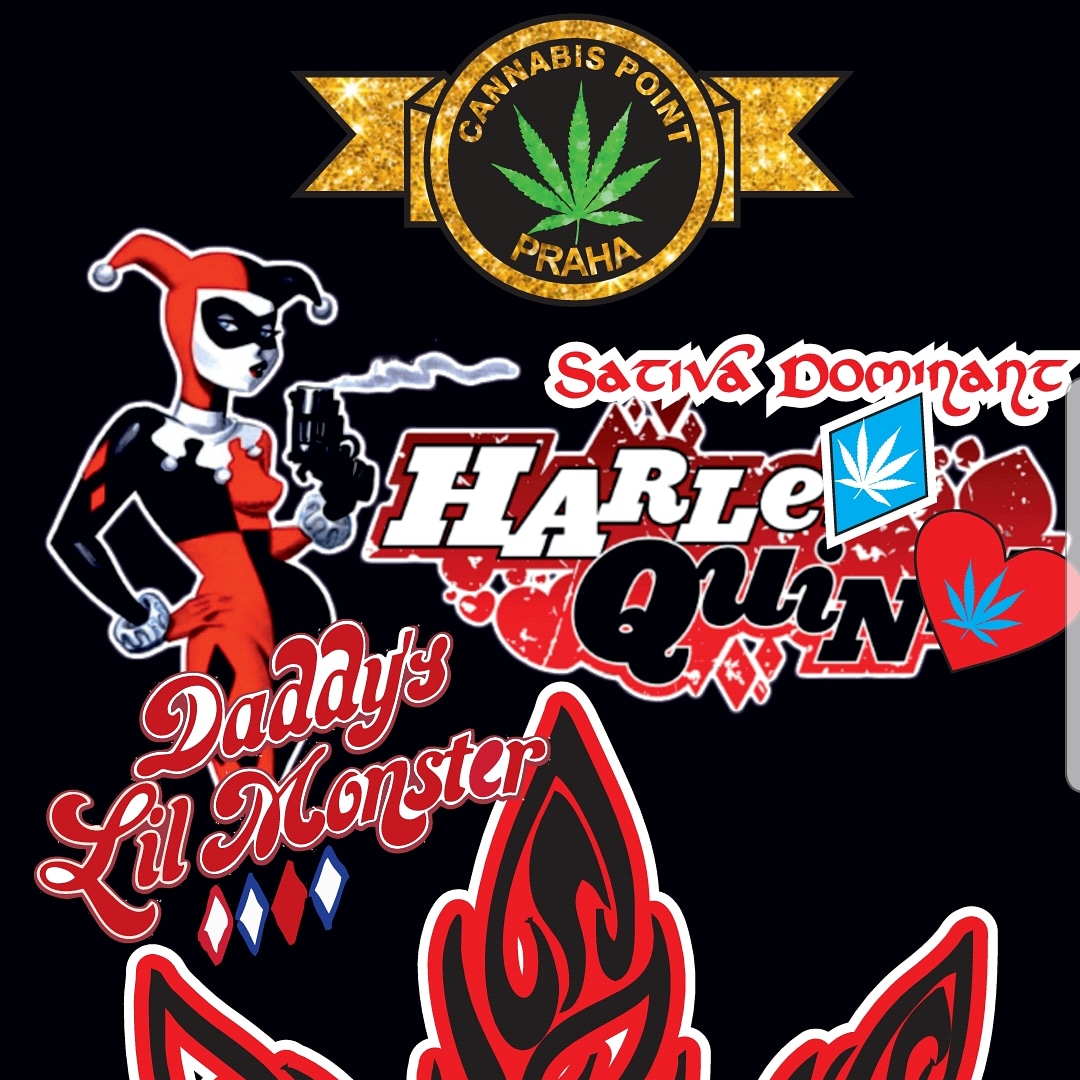 Weed Shop foto 6