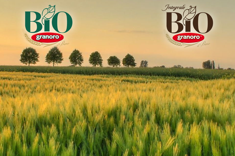 ItalyPasta s.r.o. foto 3