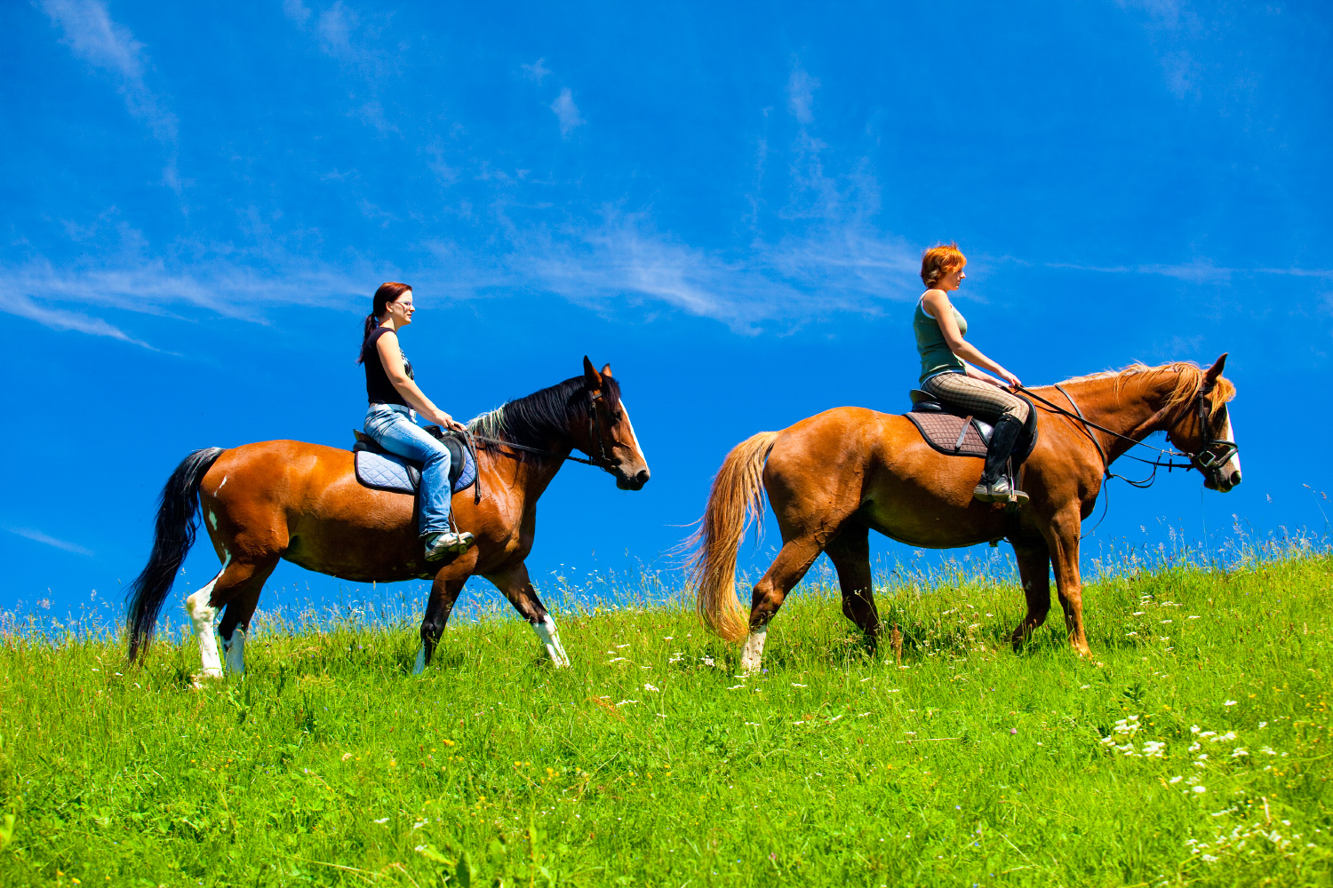 Ustájení koní Kněžice foto 2