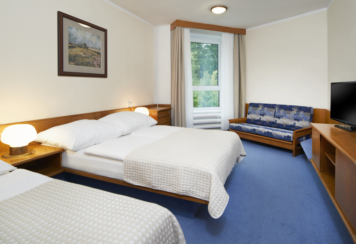 Wellness hotel Svornost foto 2