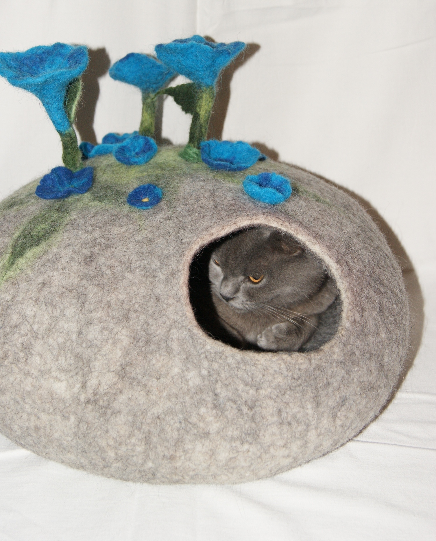 Jolana Hlavová foto 3