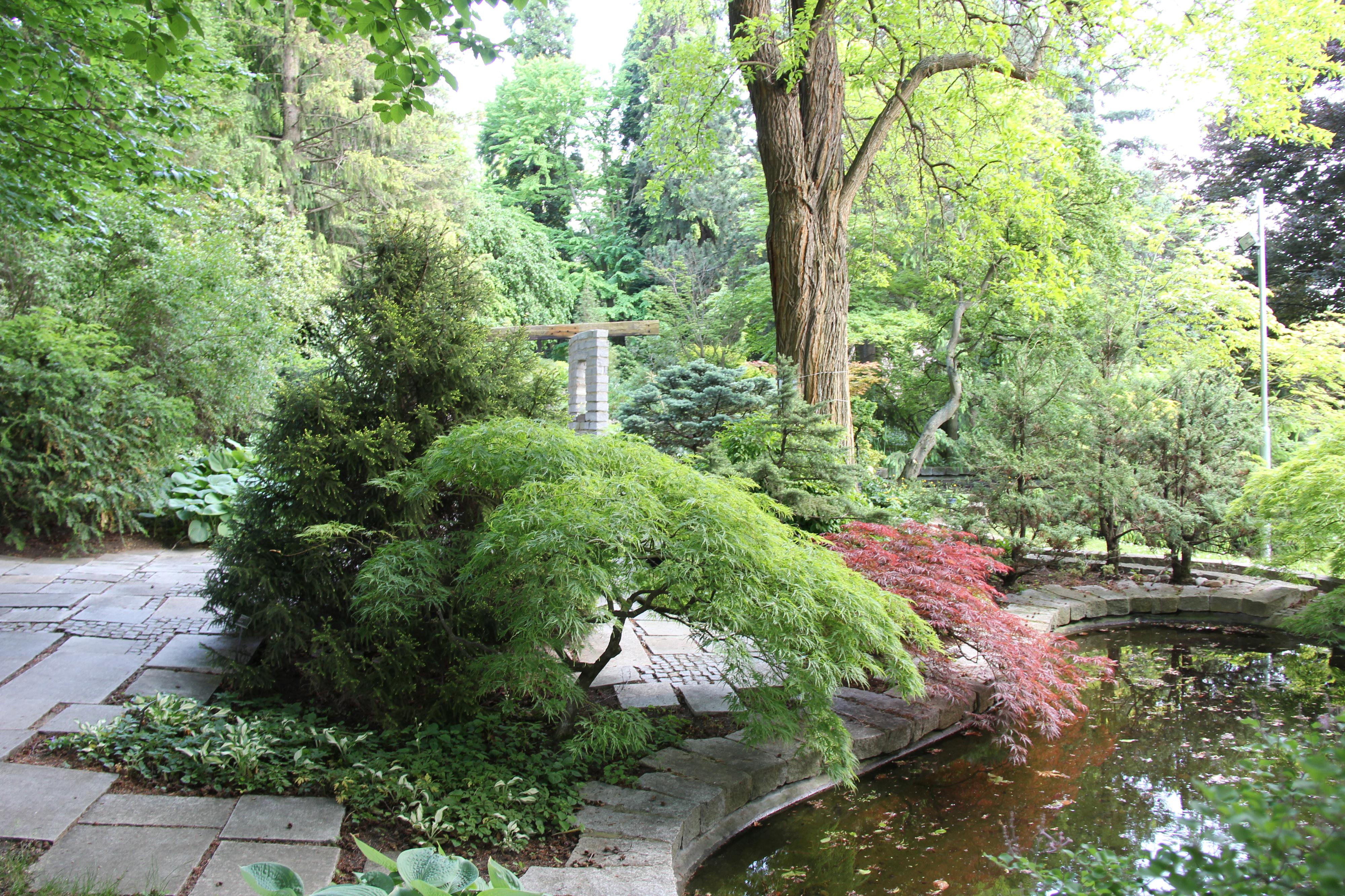 SOTERRA s.r.o. - Projektování a realizace zahrad, péče o zeleň