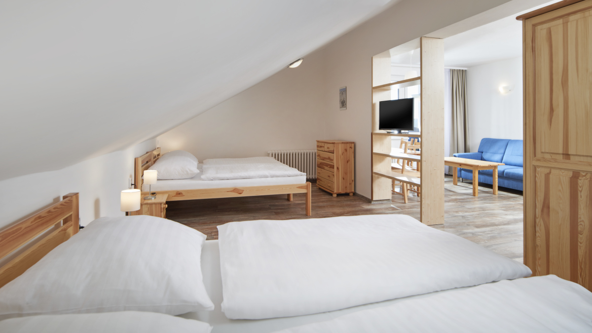 Wellness hotel Svornost foto 6