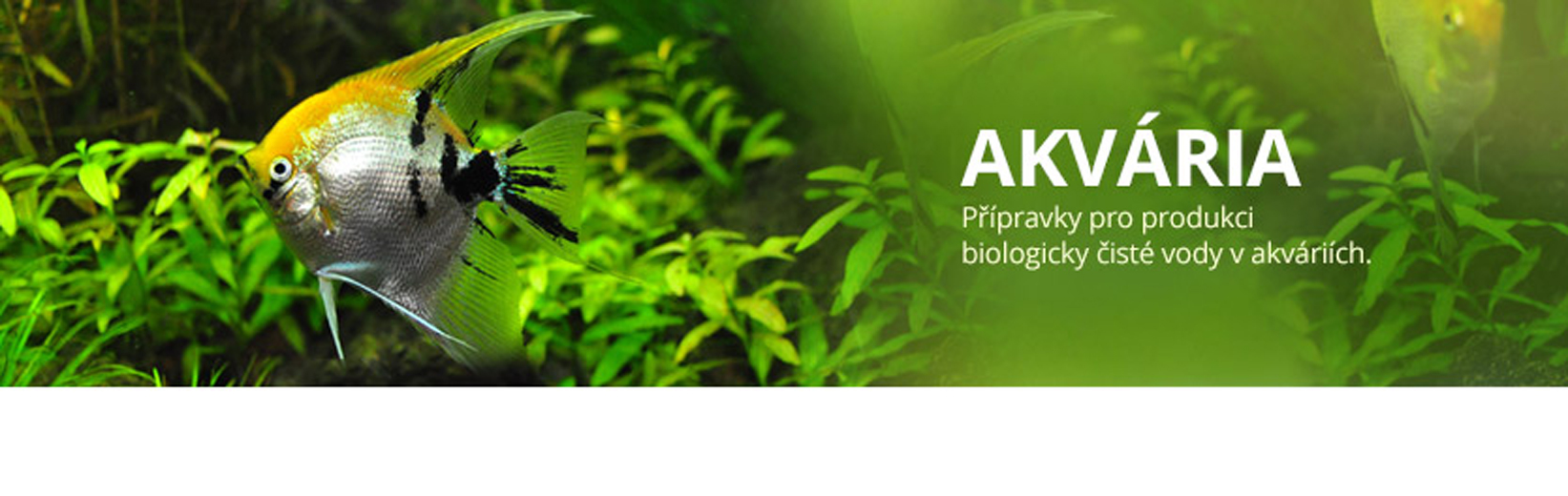 Bakterie-enzymy.cz foto 2