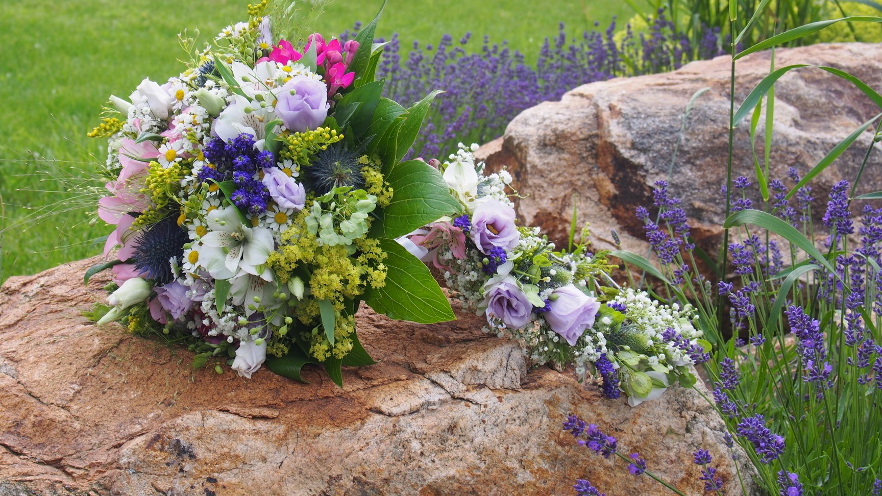Zahradní centrum "Strakovo" s.r.o. foto 4