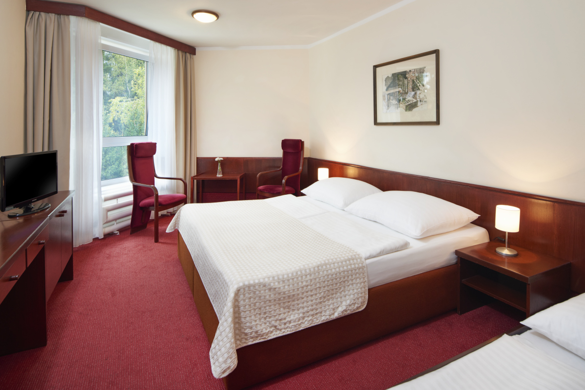Wellness hotel Svornost foto 3