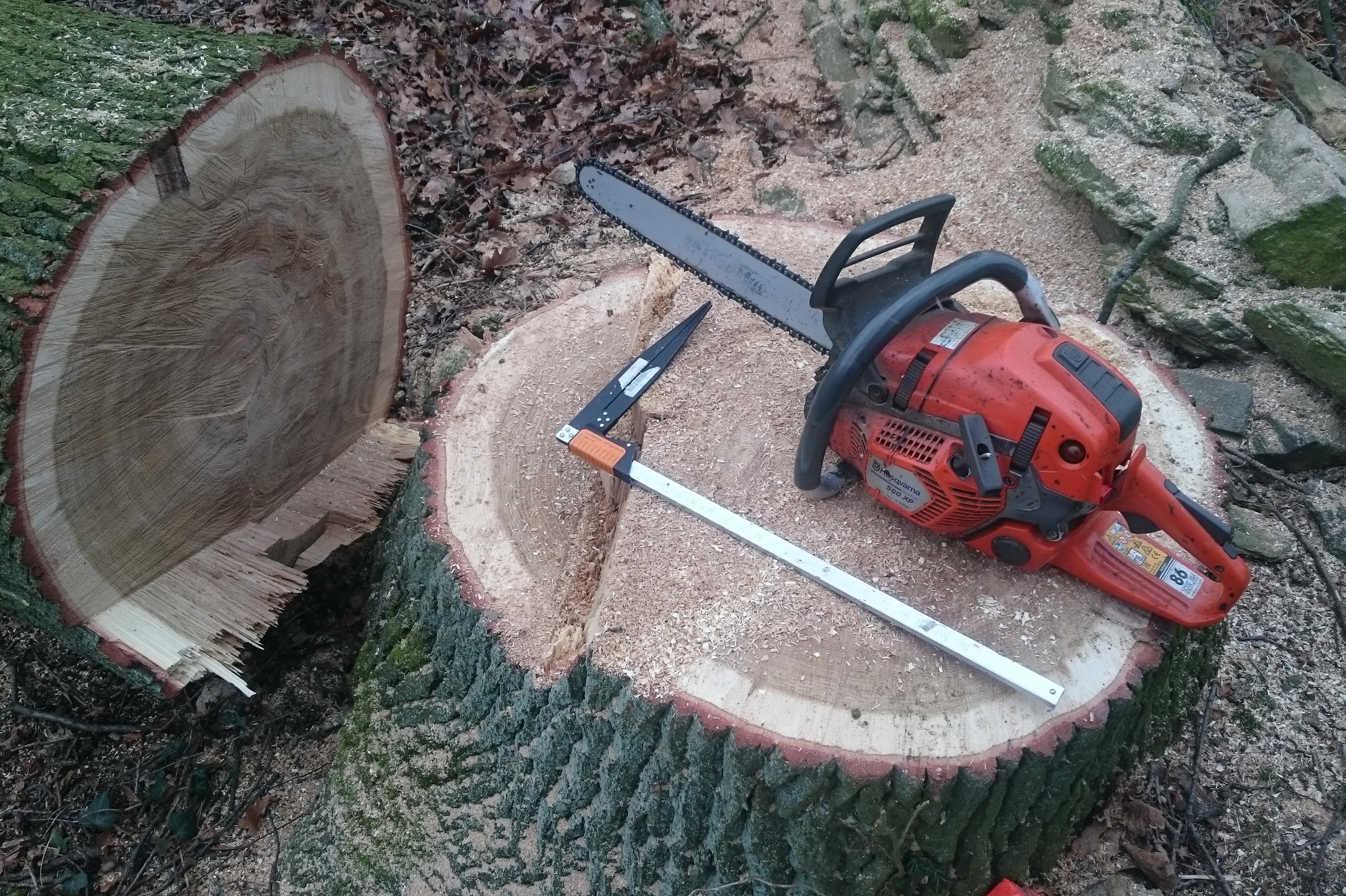 Lesnické služby - Miroslav Hrdlička