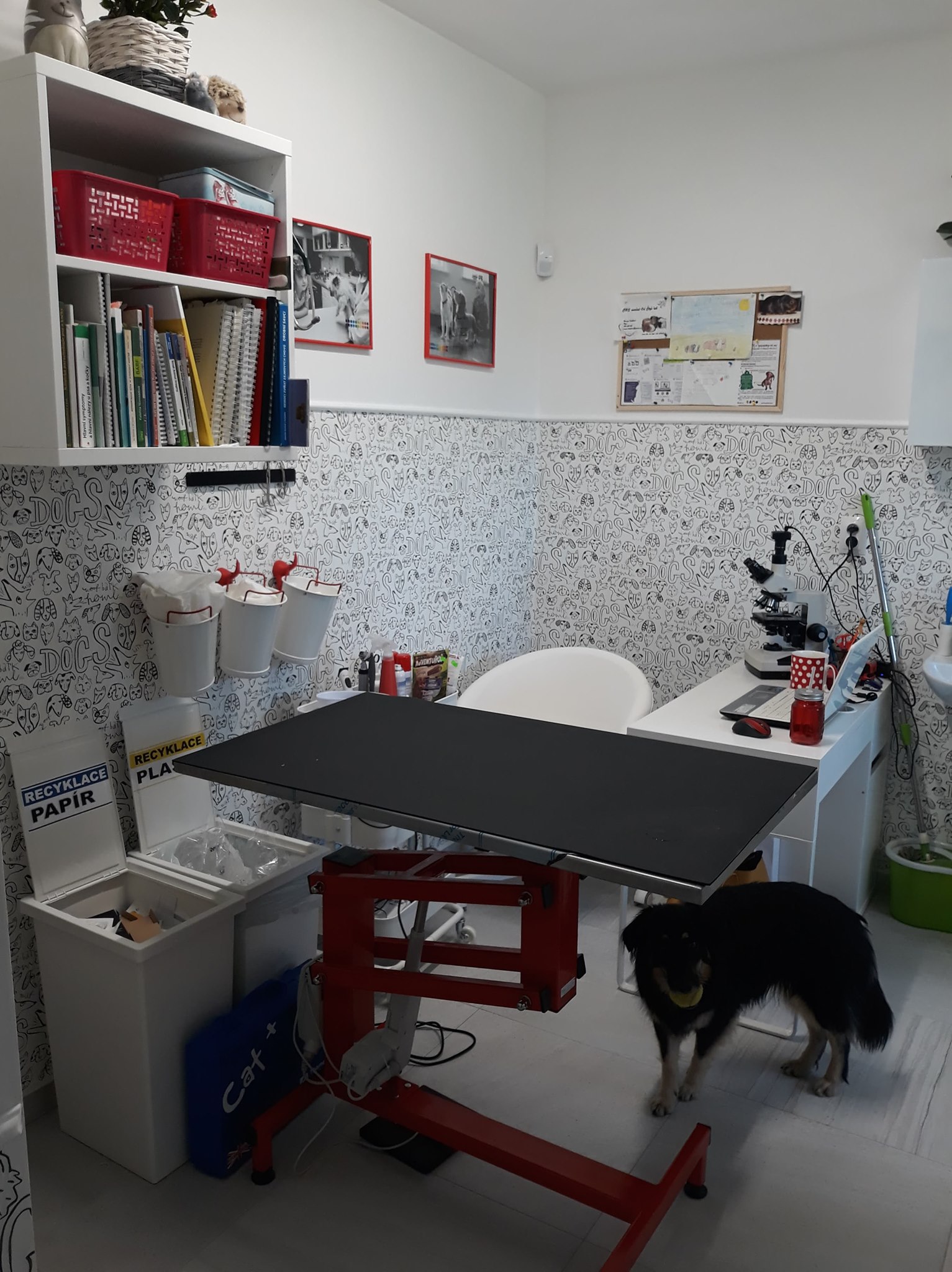 Veterinární ordinace BoleVET foto 4