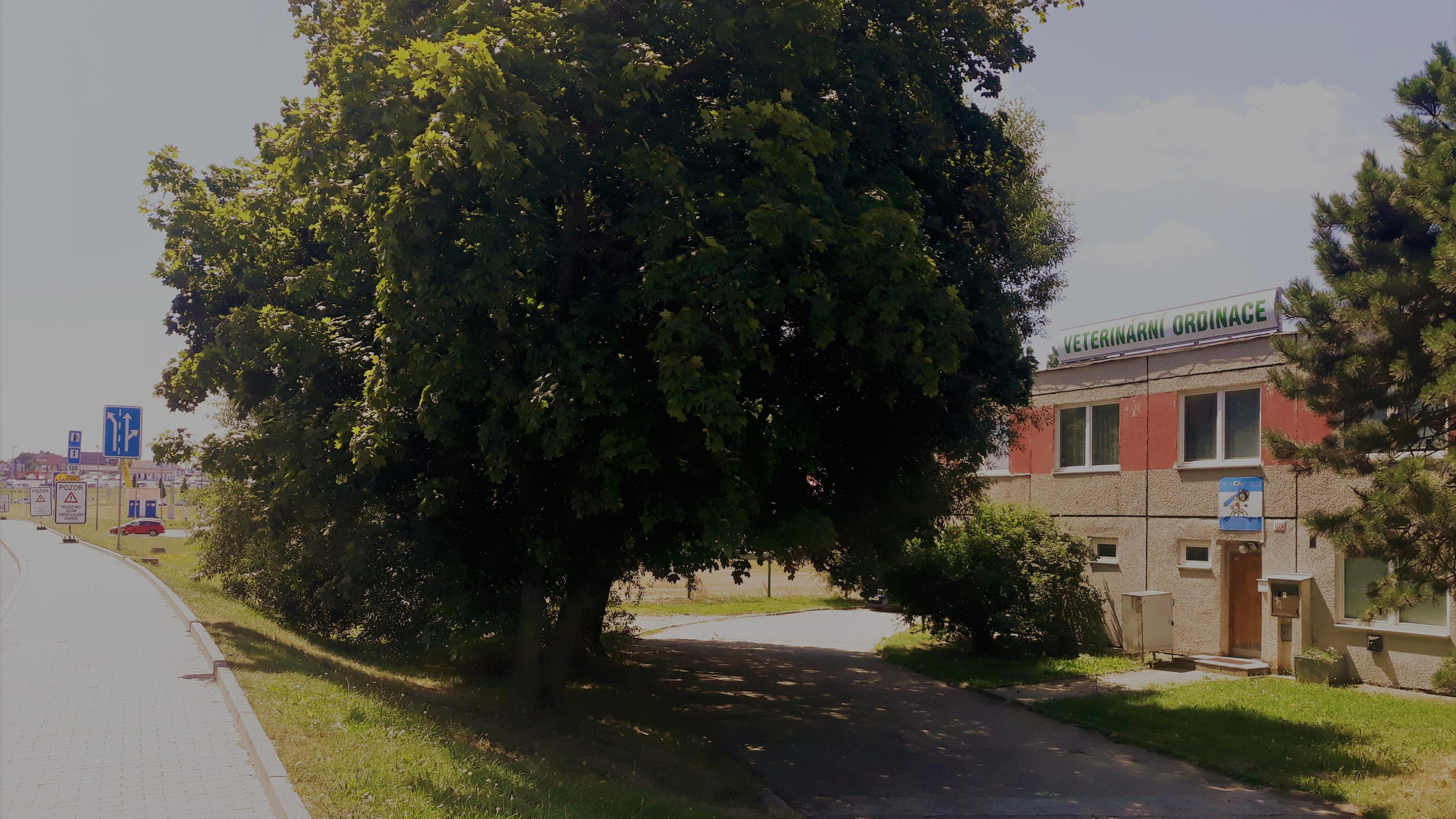 Veterinární ordinace MVDr. Šárka Stará foto 2