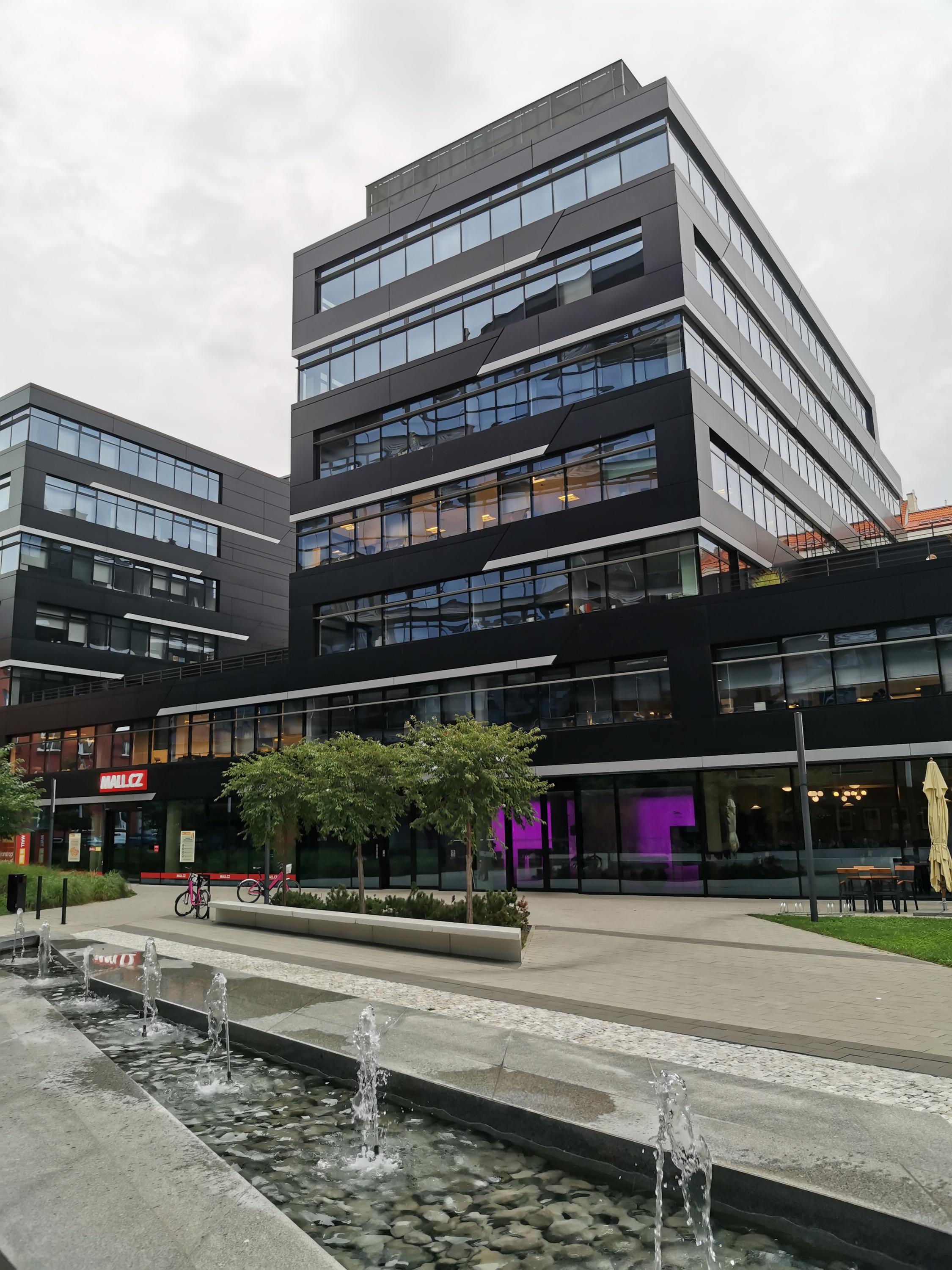 Kolkovna Argentinská foto 6