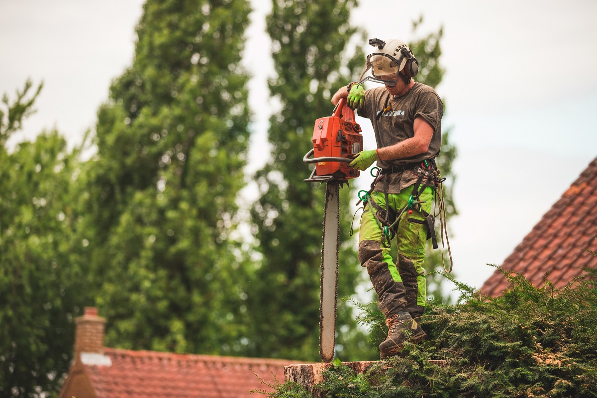 Vybaveniarboristika.cz