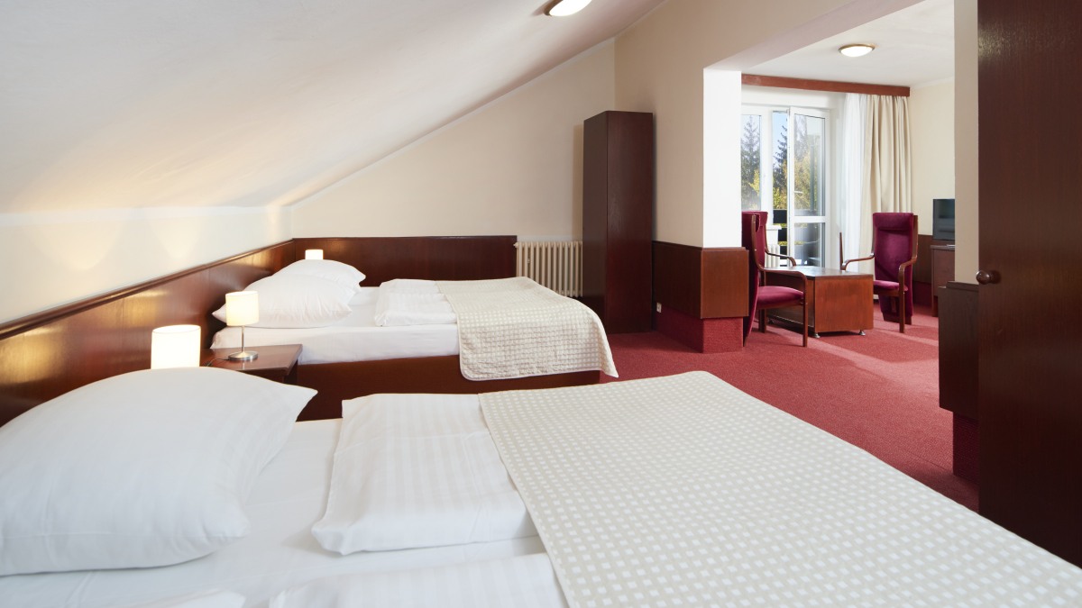 Wellness hotel Svornost foto 5