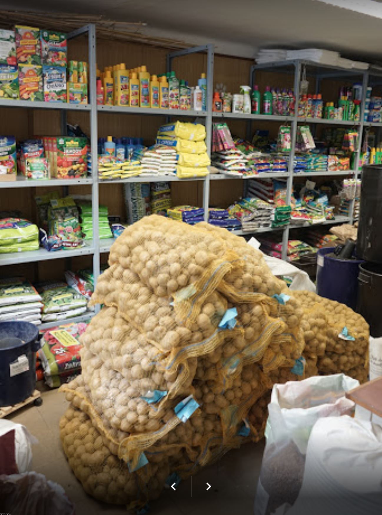 Lenka Bařinová foto 3