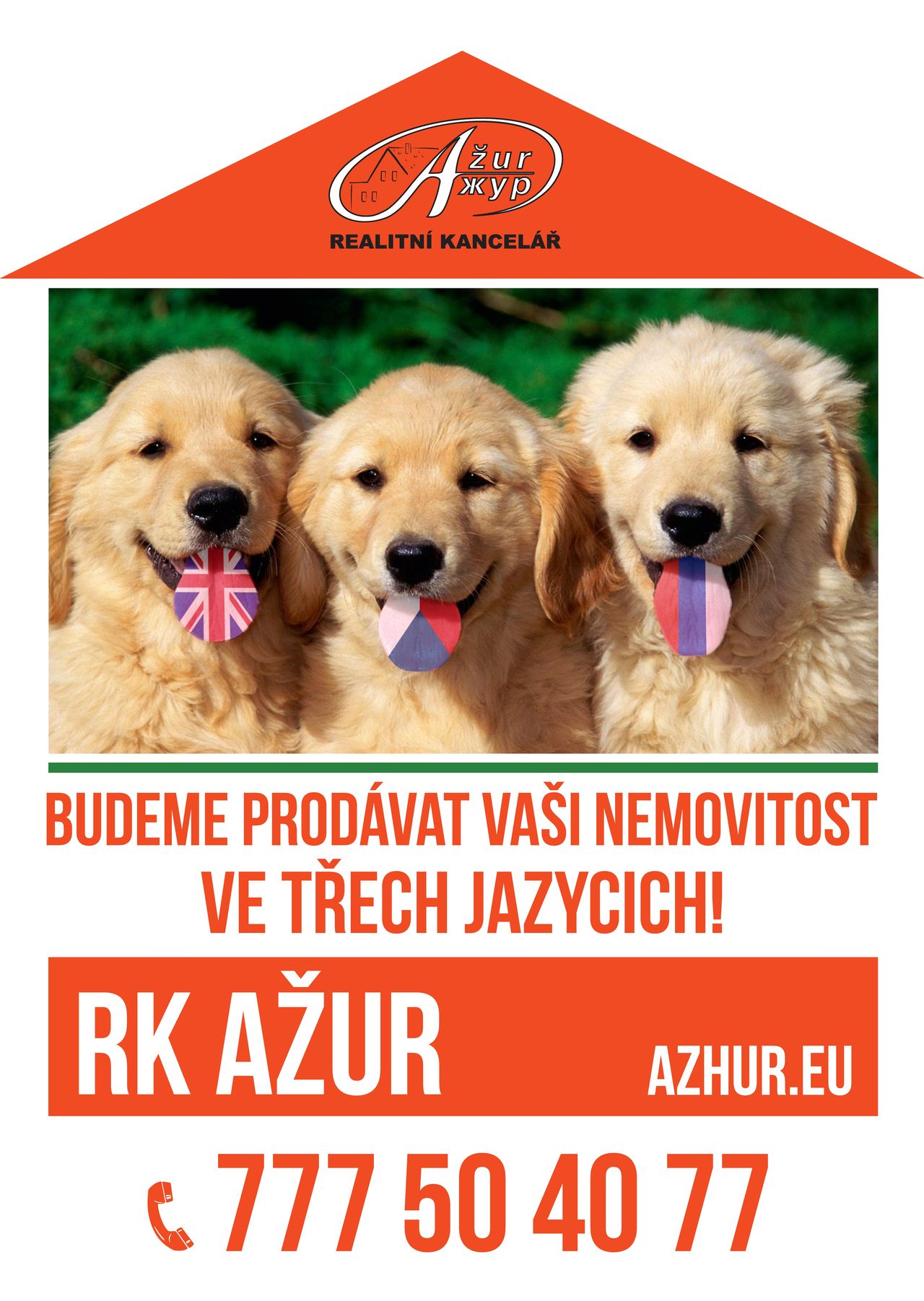 Ažur foto 3