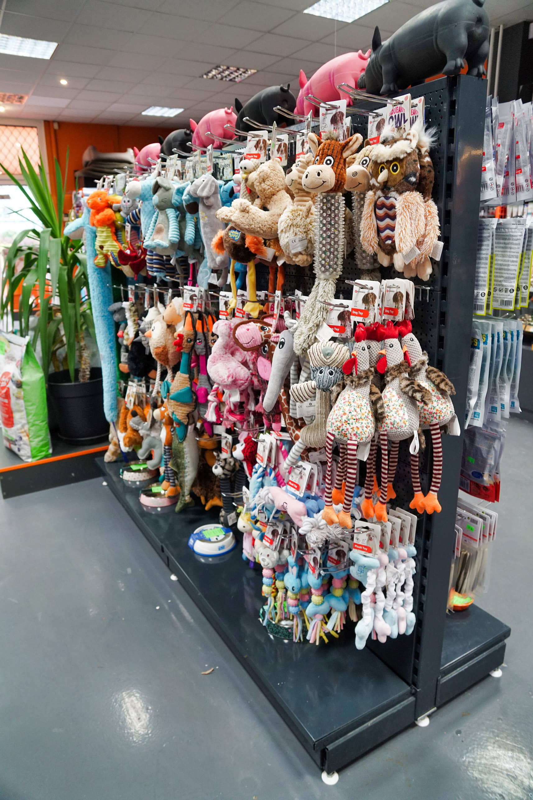 HappyZoo - Galaxie foto 5