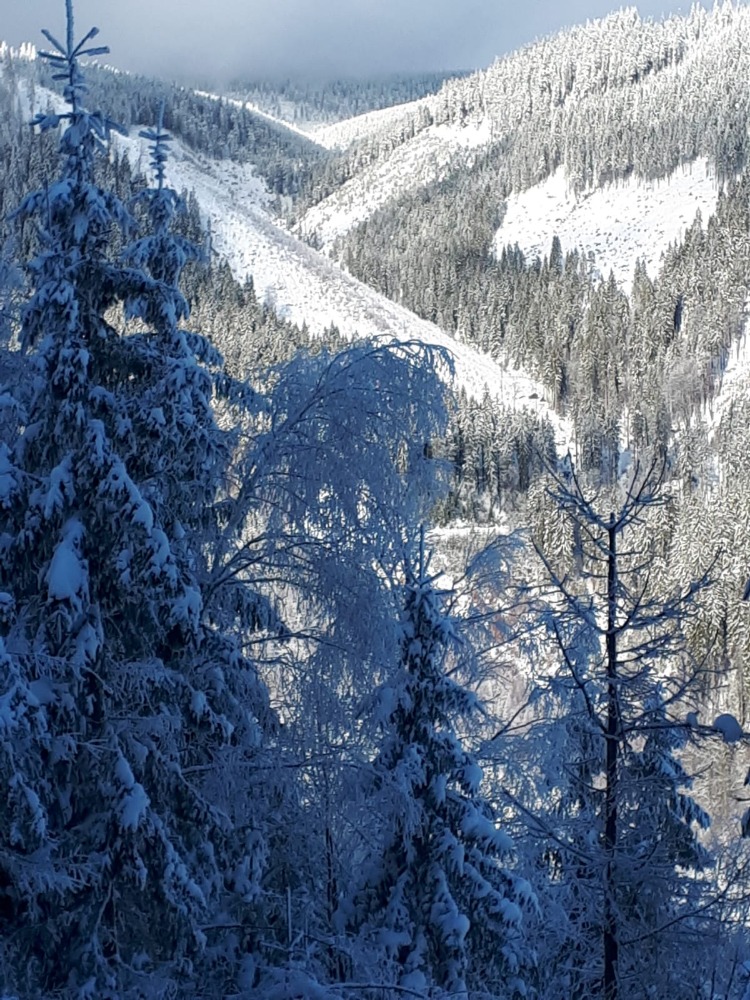 Chalupa Na Vršku foto 6