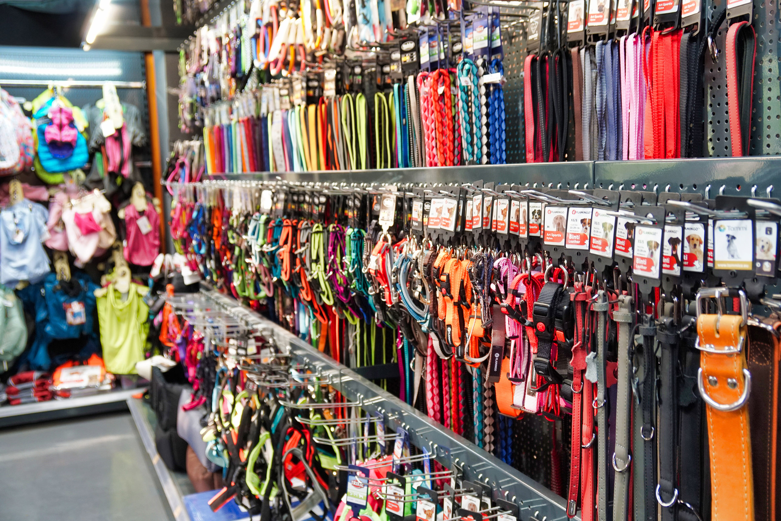 HappyZoo - Galaxie foto 3