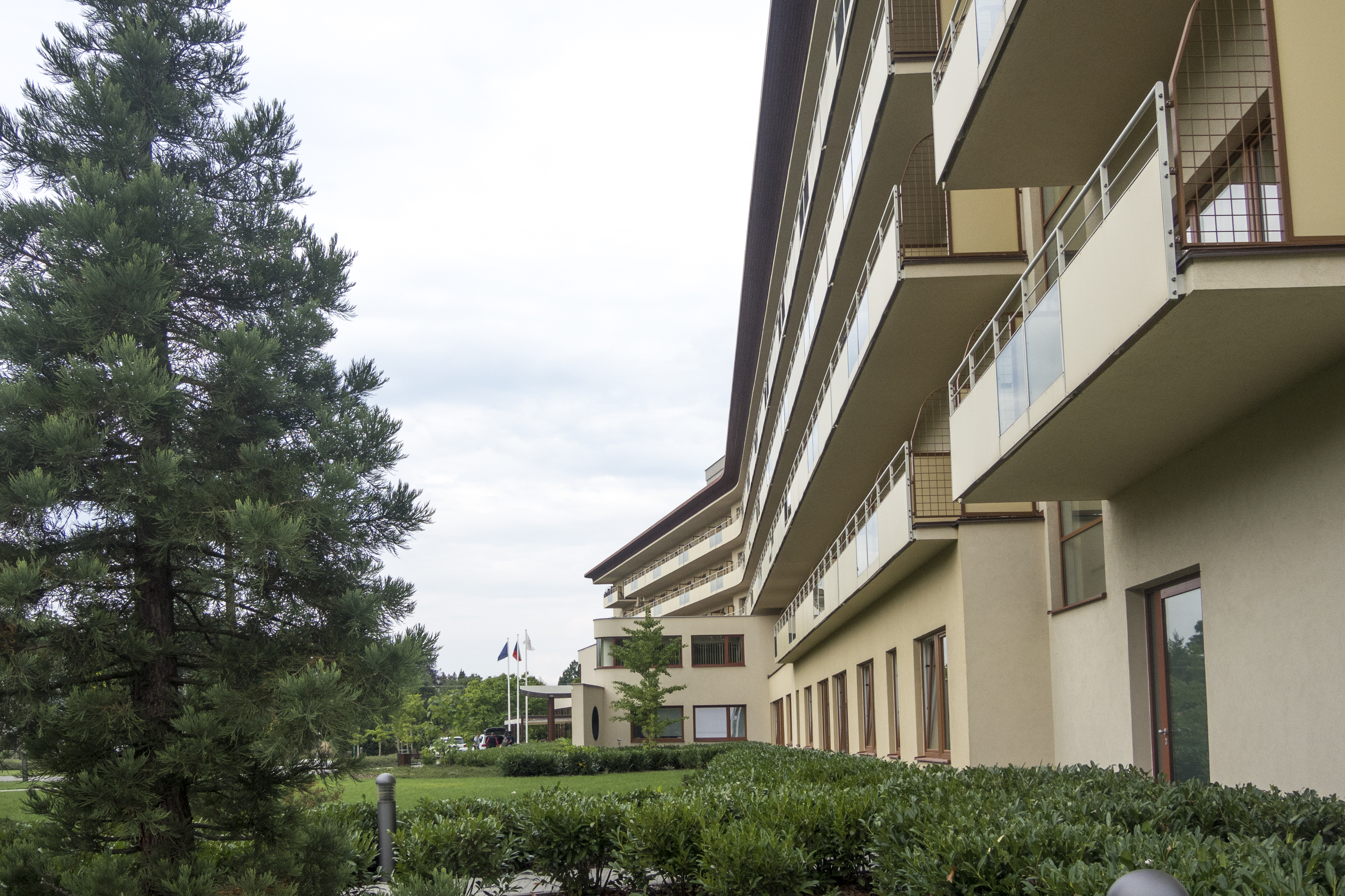 Spa resort Tree of Life foto 5