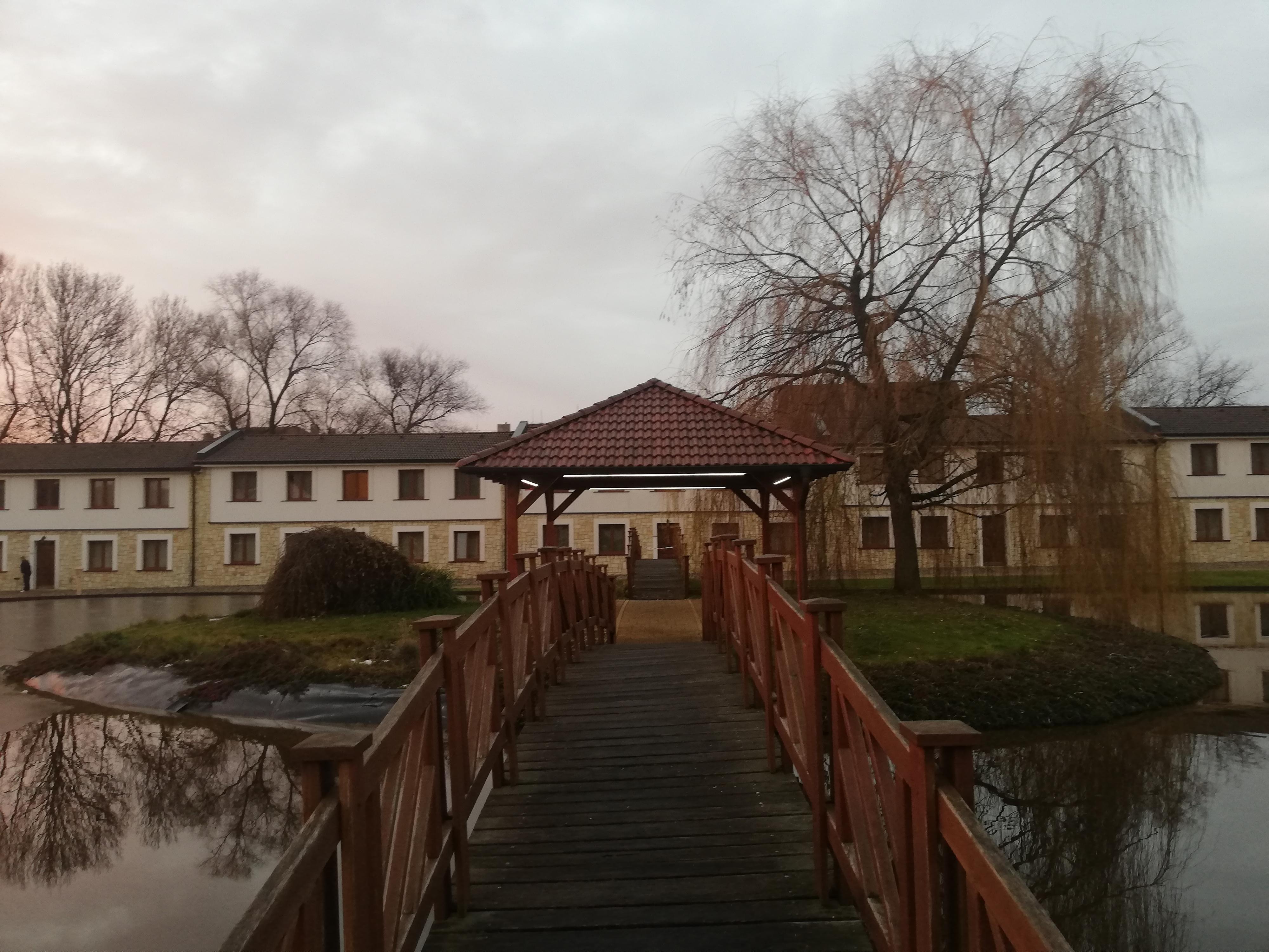 Hotel Lions - školící středisko Nesuchyně foto 6