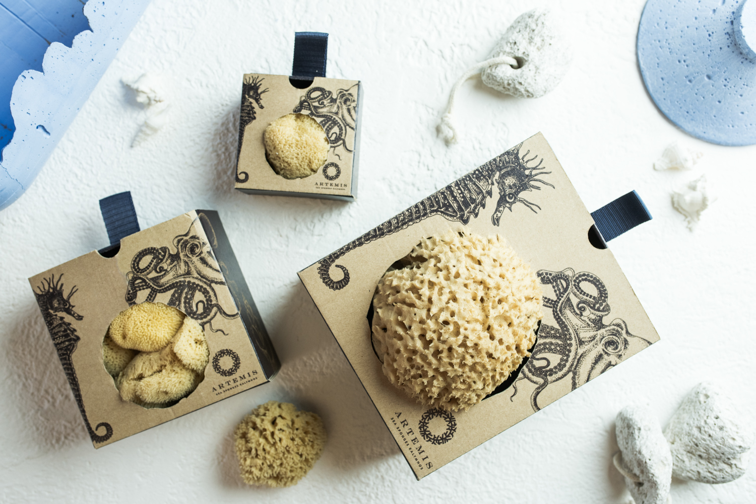 Artemis Sponges foto 4