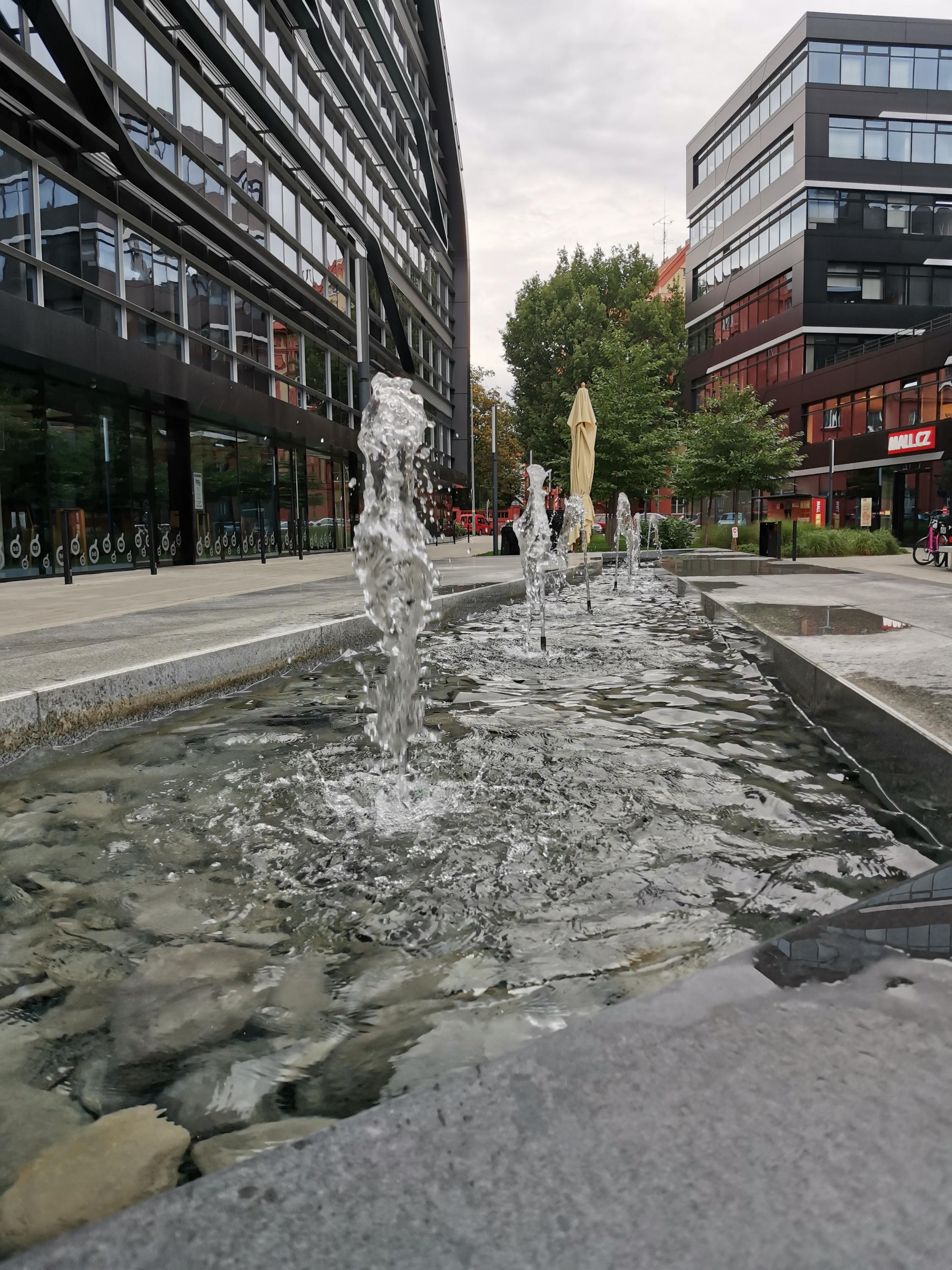 Kolkovna Argentinská foto 4