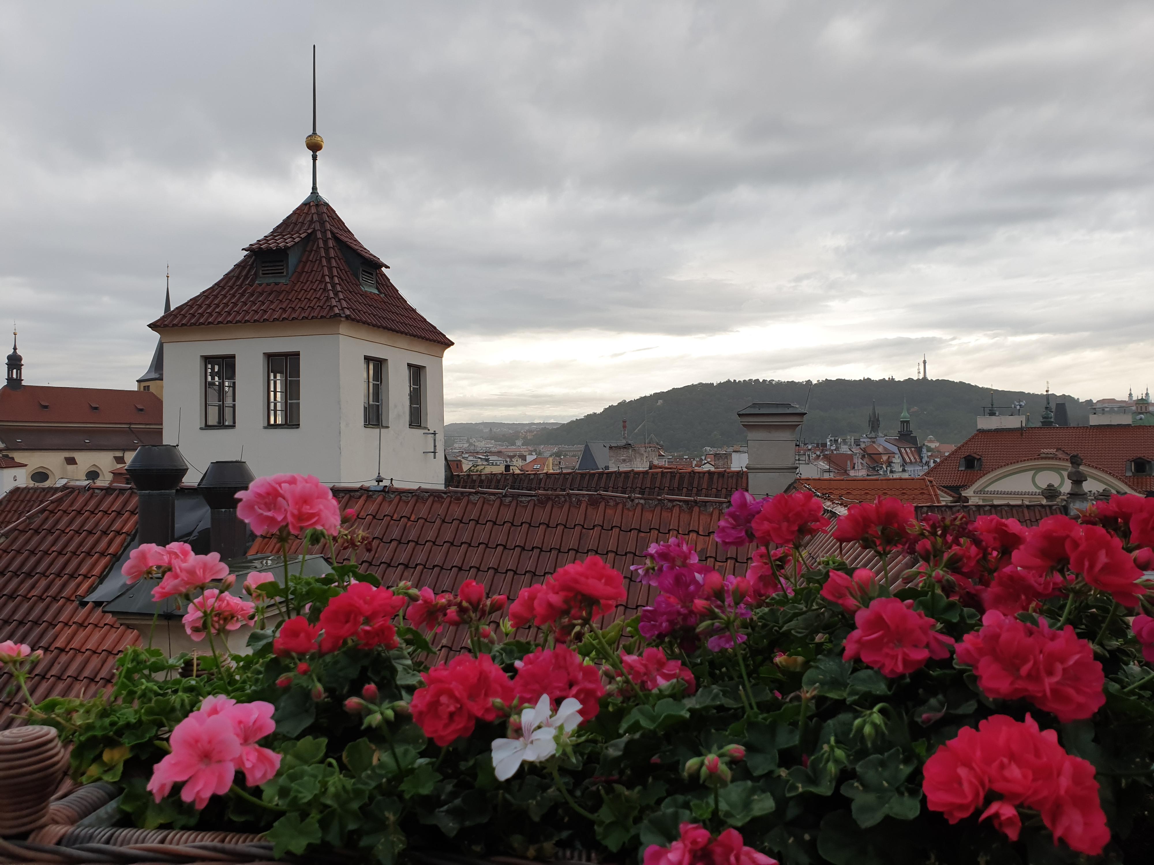 Hotel U Prince foto 5