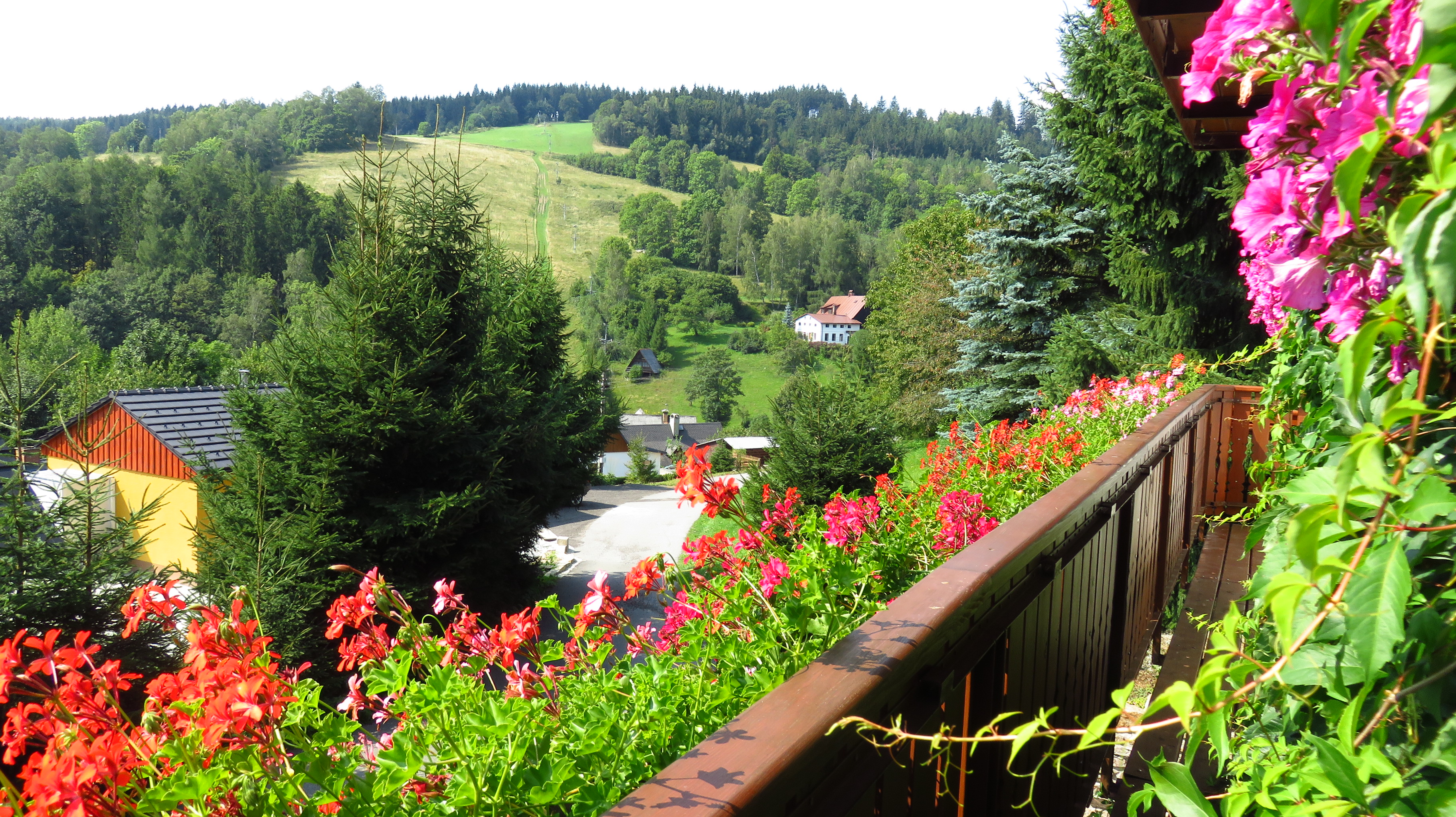 Ubytování Petrovičky foto 4