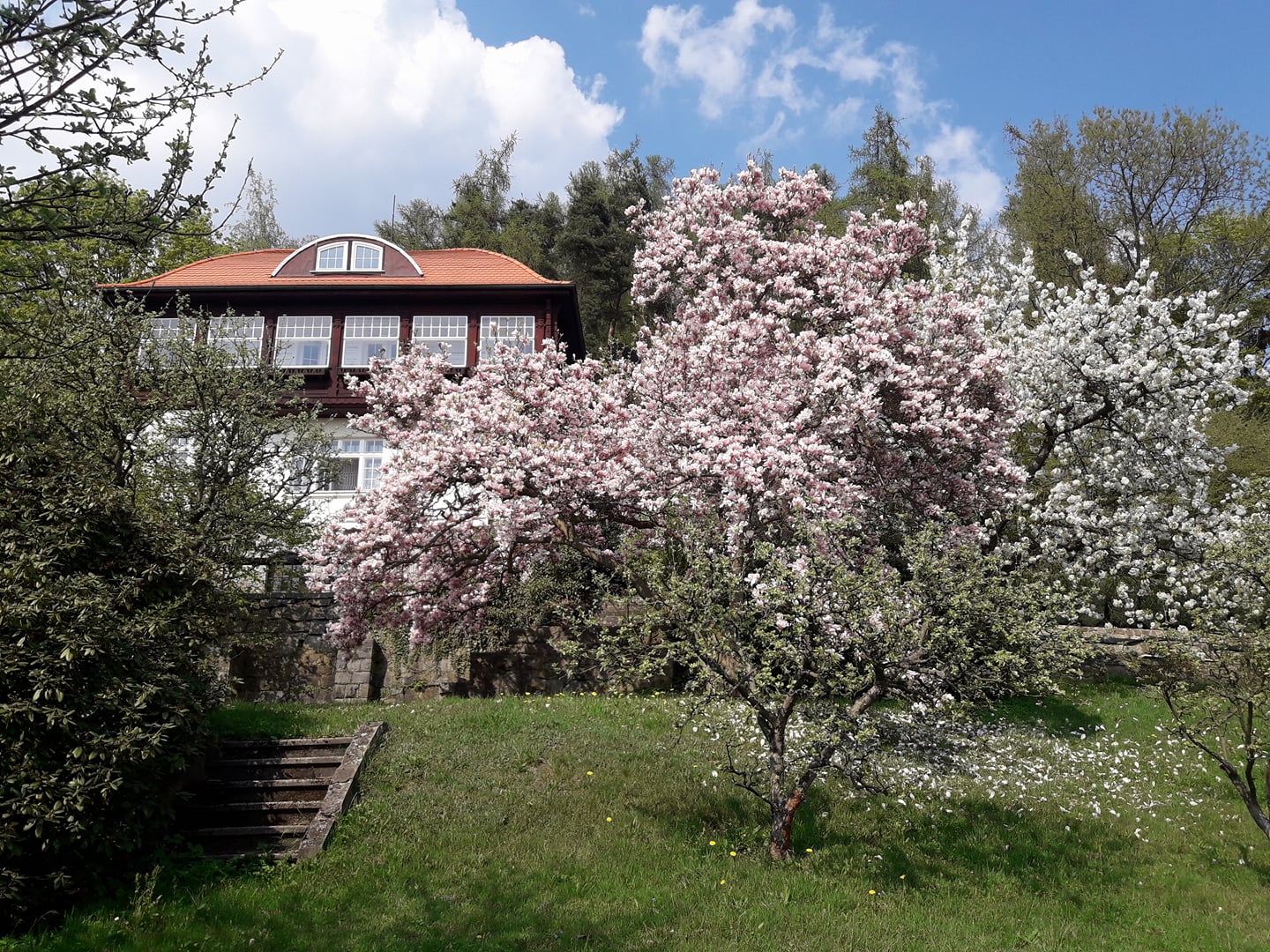 akad.malíř Vladimir Klein foto 3