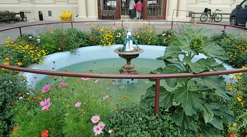 Palata - Domov pro zrakově postižené foto 3