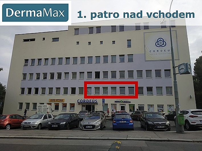 DermaMax foto 2