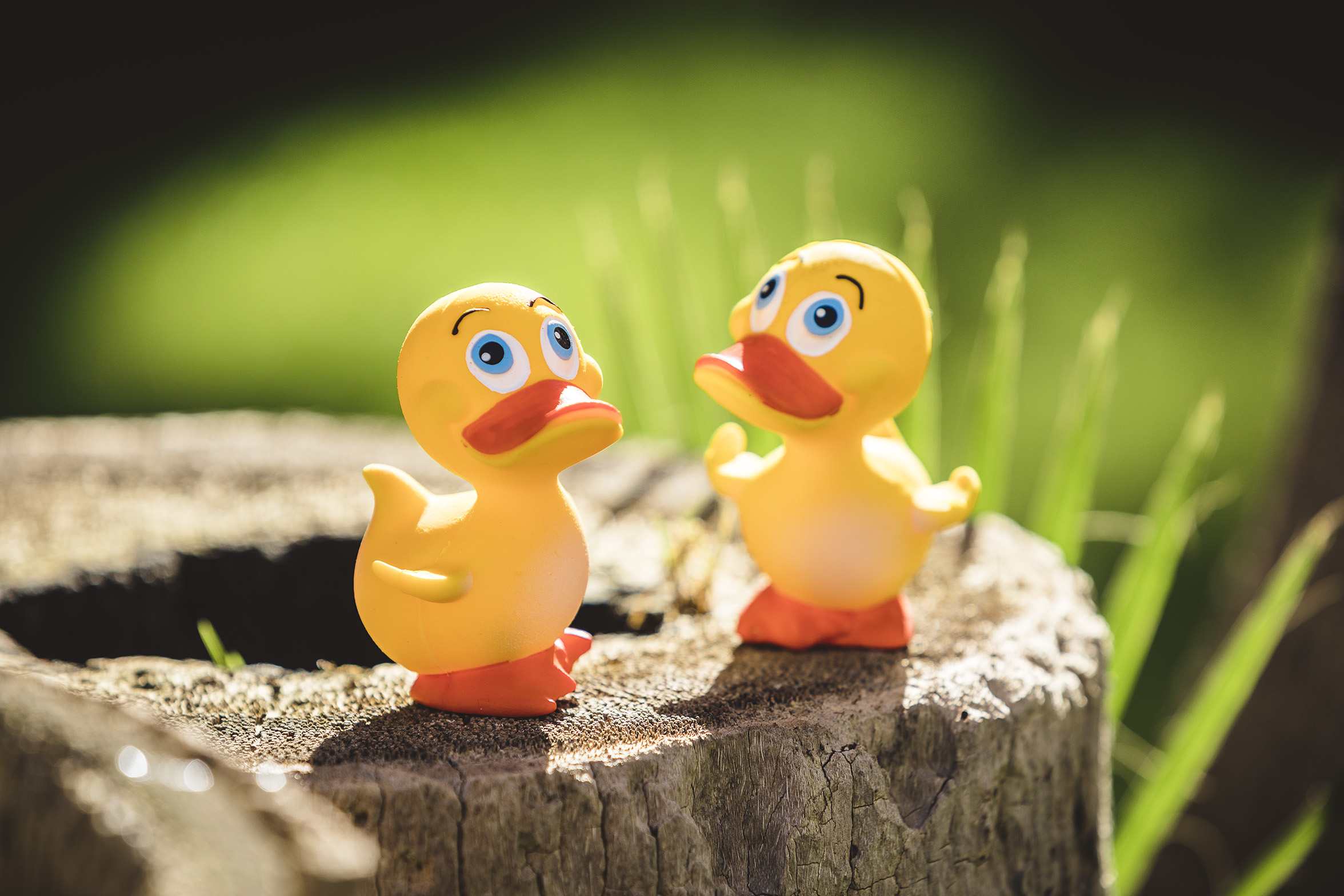 První hračky.cz foto 2