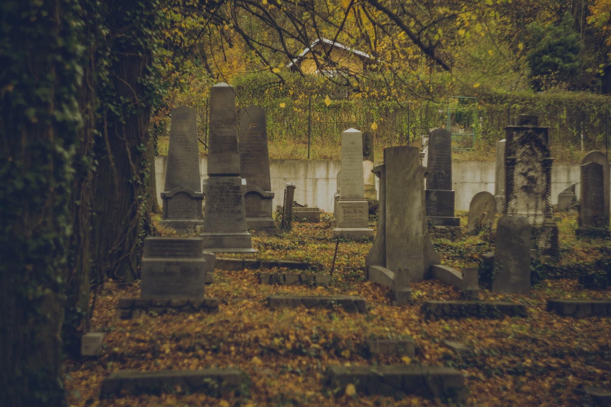 Židovský hřbitov Krnov