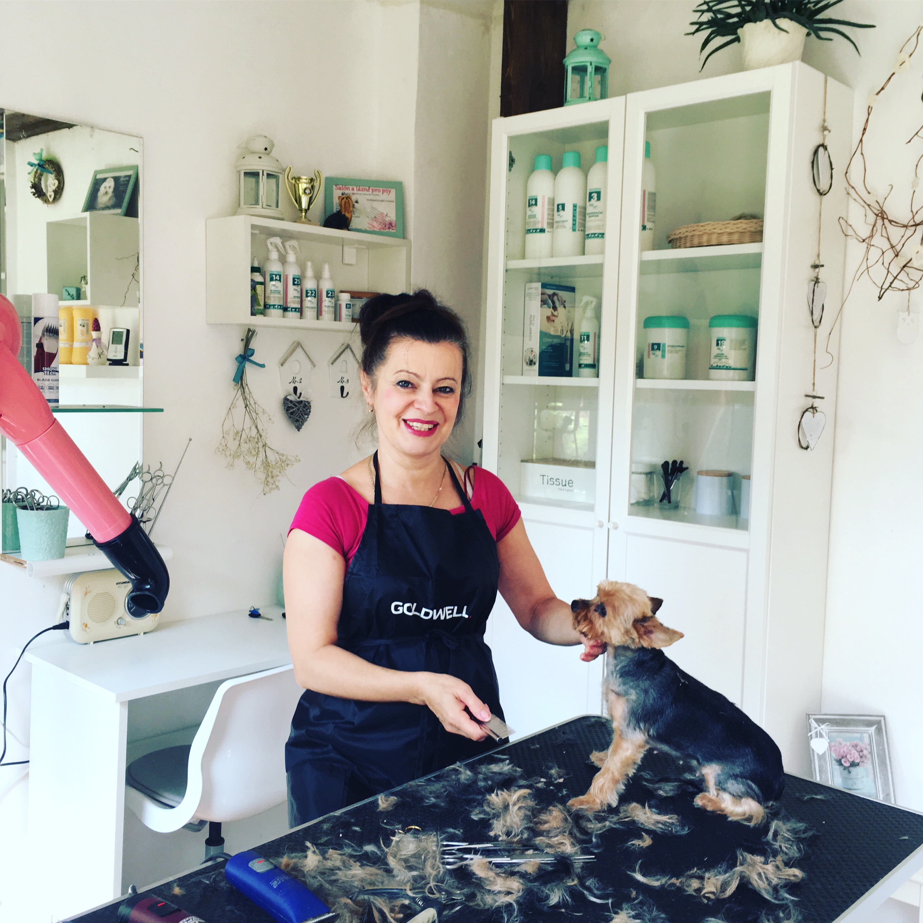 Salon a lázně pro psy SilkDarling foto 3