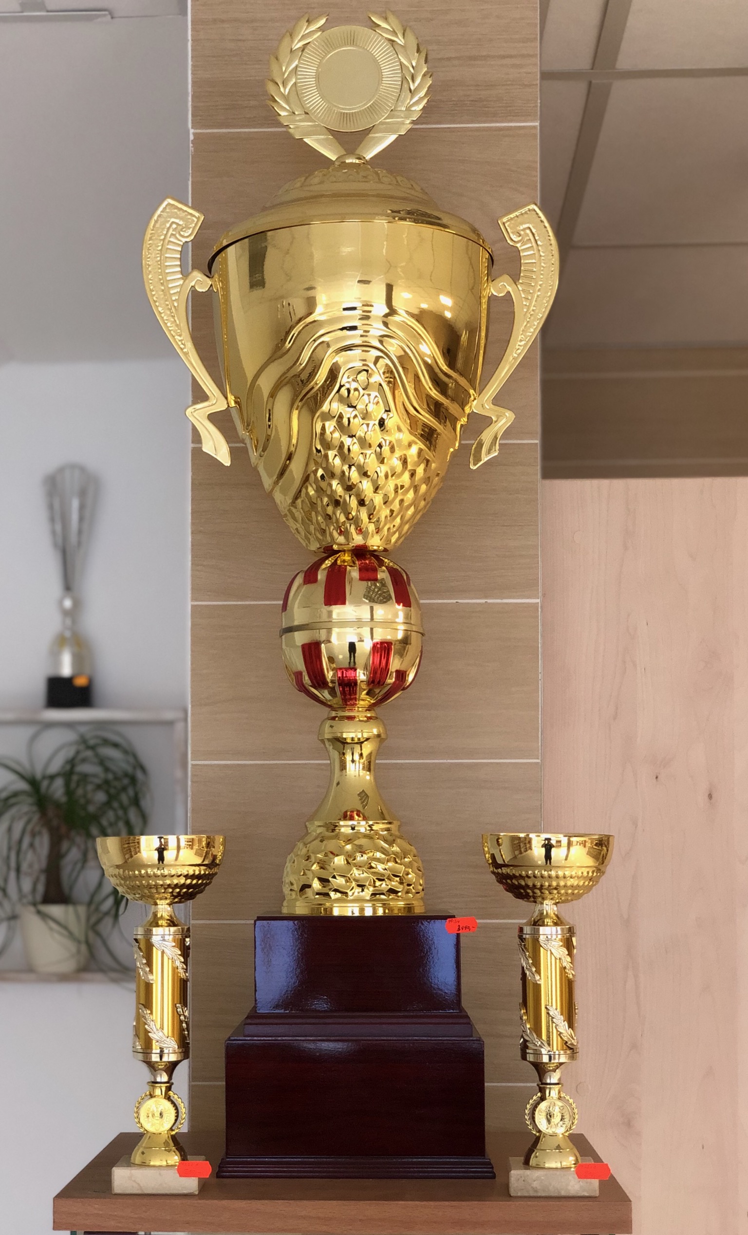 Winner poháry foto 4